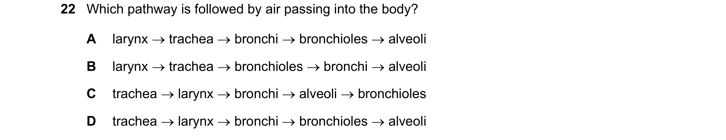 Question 7: Which pathway is followed by air passing into the body? A larynx → trachea → bronchi → bronchioles → alveoli B larynx → trachea → bronchiol…