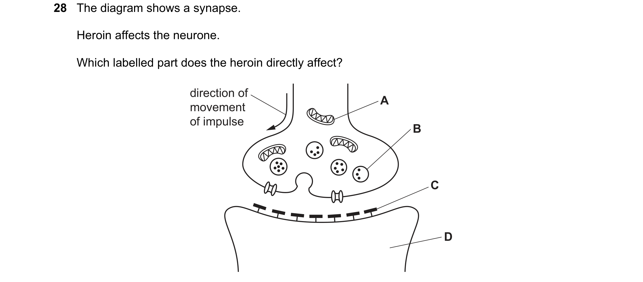 Question 6: The diagram shows a synapse. Heroin affects the neurone. Which labelled part does the heroin directly affect? direction of A movement of im…