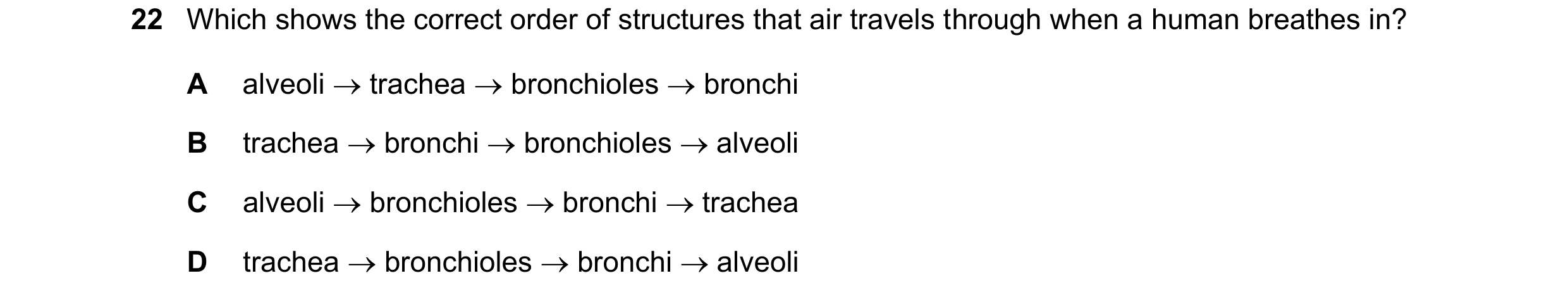Question 14: Which shows the correct order of structures that air travels through when a human breathes in? A alveoli  trachea  bronchioles  bronchi …