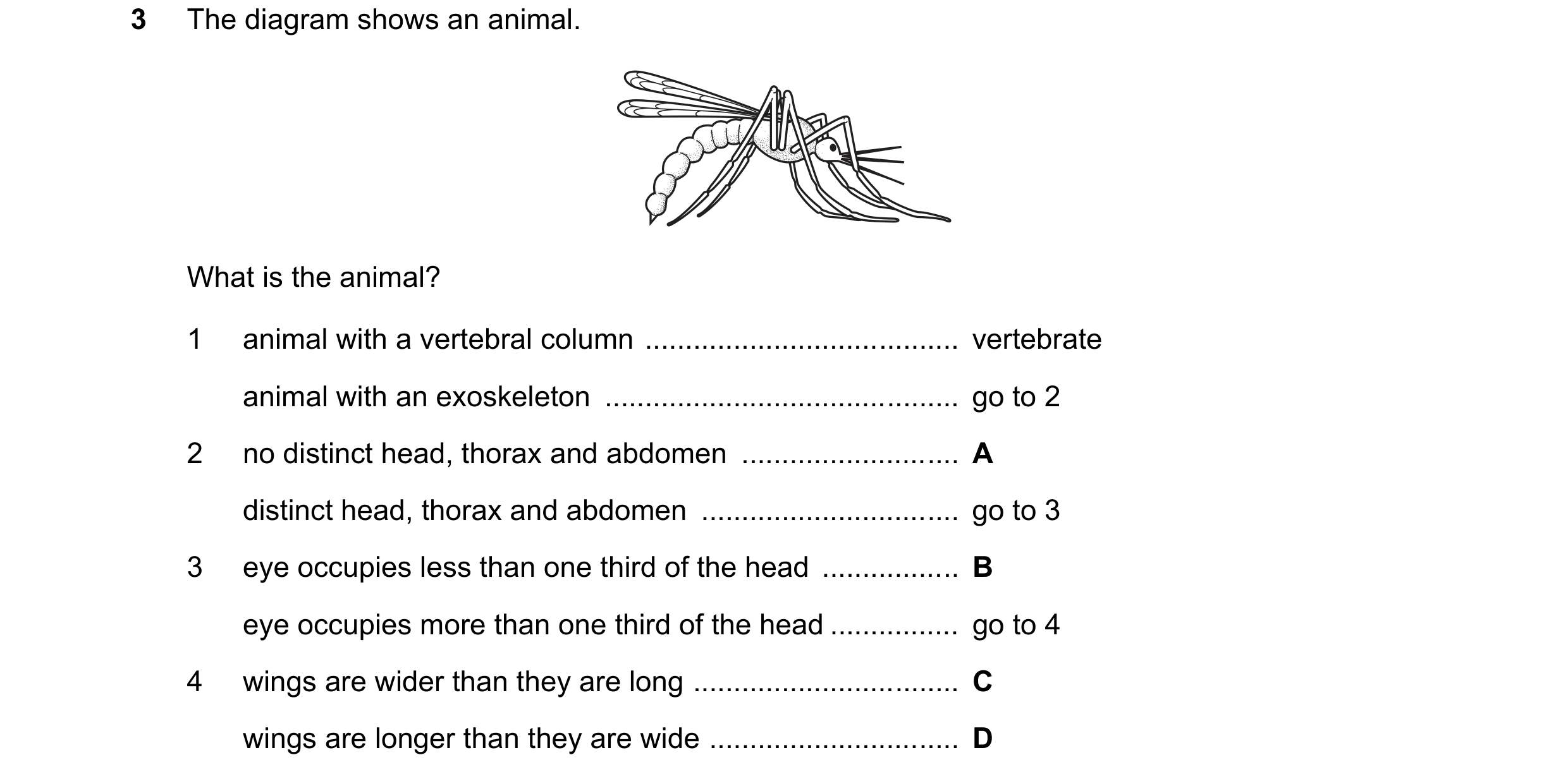 Question 13: The diagram shows an animal. What is the animal? 1 animal with a vertebral column ....................................... vertebrate anim…