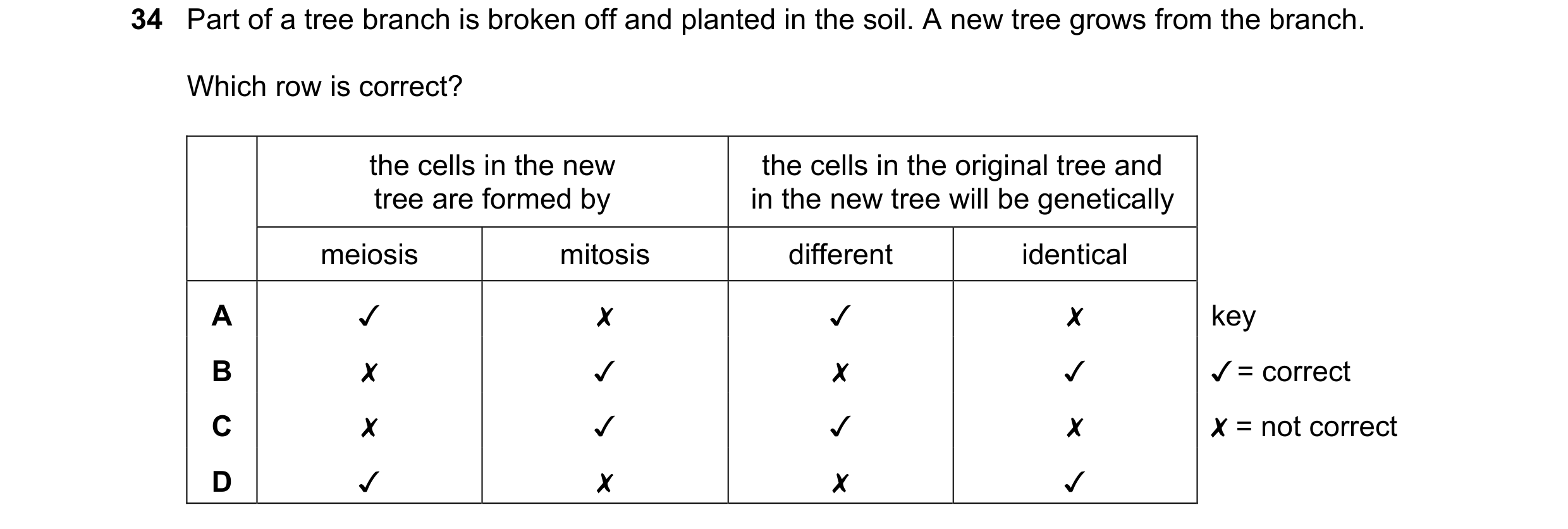 Question 3: Part of a tree branch is broken off and planted in the soil. A new tree grows from the branch.
Which row is correct?
the cells in the new…