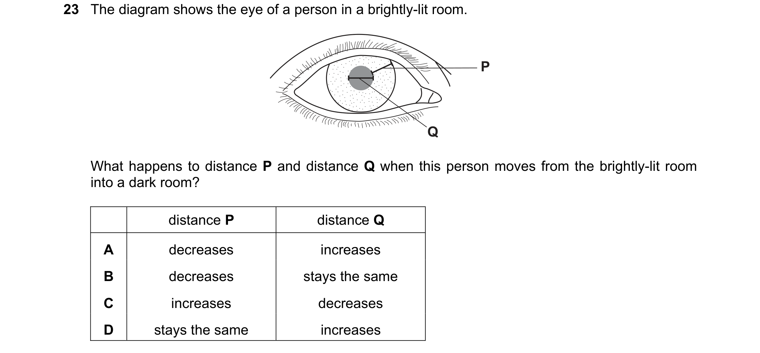 Question 7: The diagram shows the eye of a person in a brightly-lit room. P Q What happens to distance P and distance Q when this person moves from the…