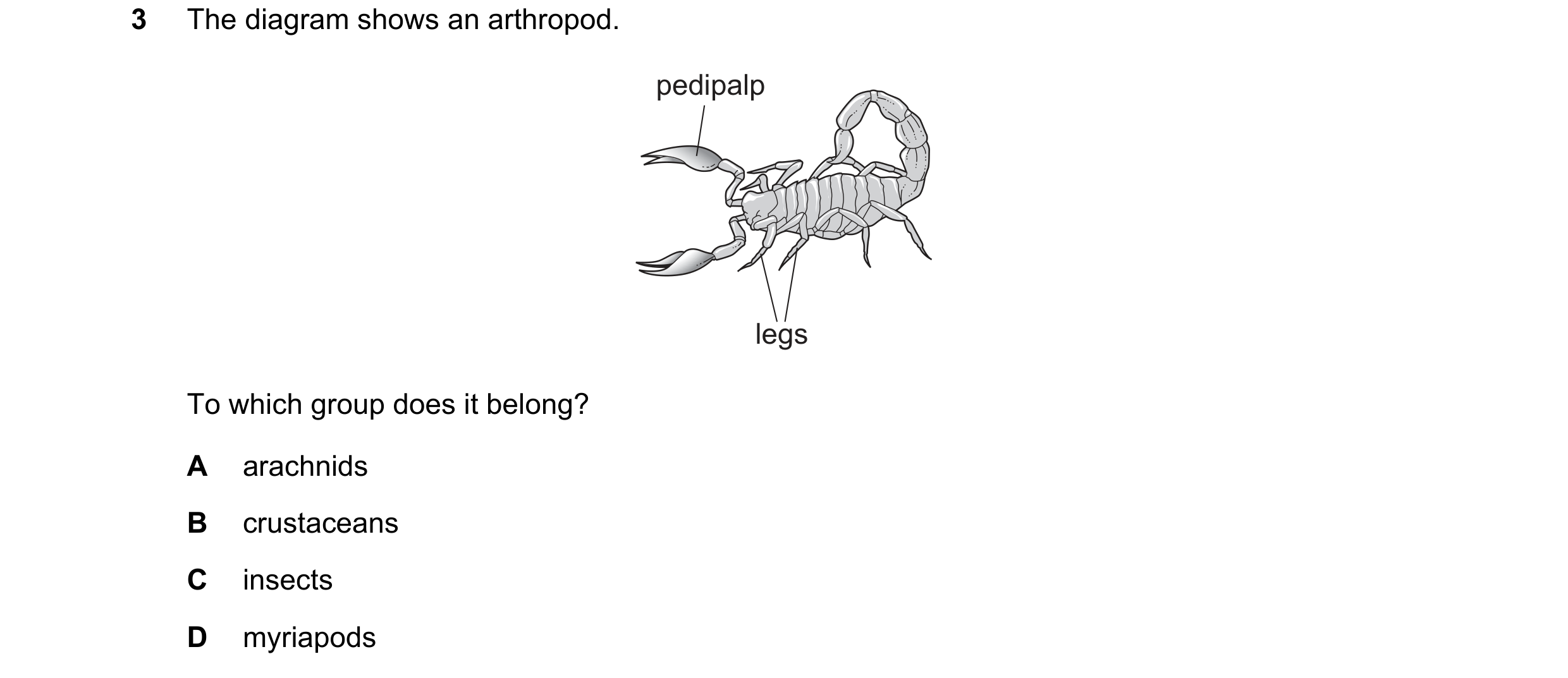 Question 5: The diagram shows an arthropod. pedipalp legs To which group does it belong? A arachnids B crustaceans C insects D myriapods