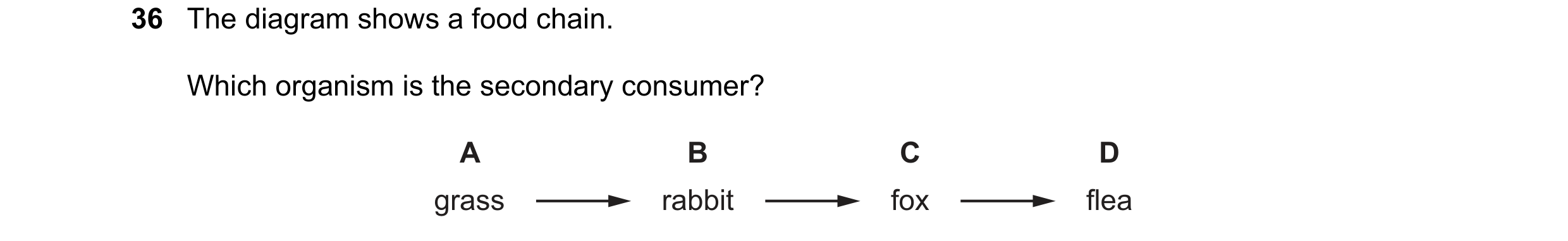 Question 6: The diagram shows a food chain. Which organism is the secondary consumer? A B C D grass rabbit fox flea