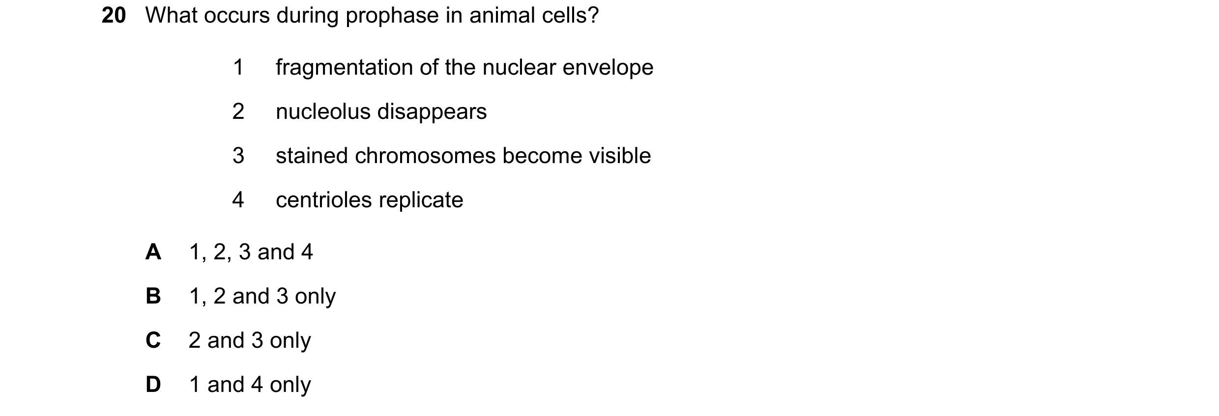 Question 100: What occurs during prophase in animal cells? 1 fragmentation of the nuclear envelope 2 nucleolus disappears 3 stained chromosomes become vi…