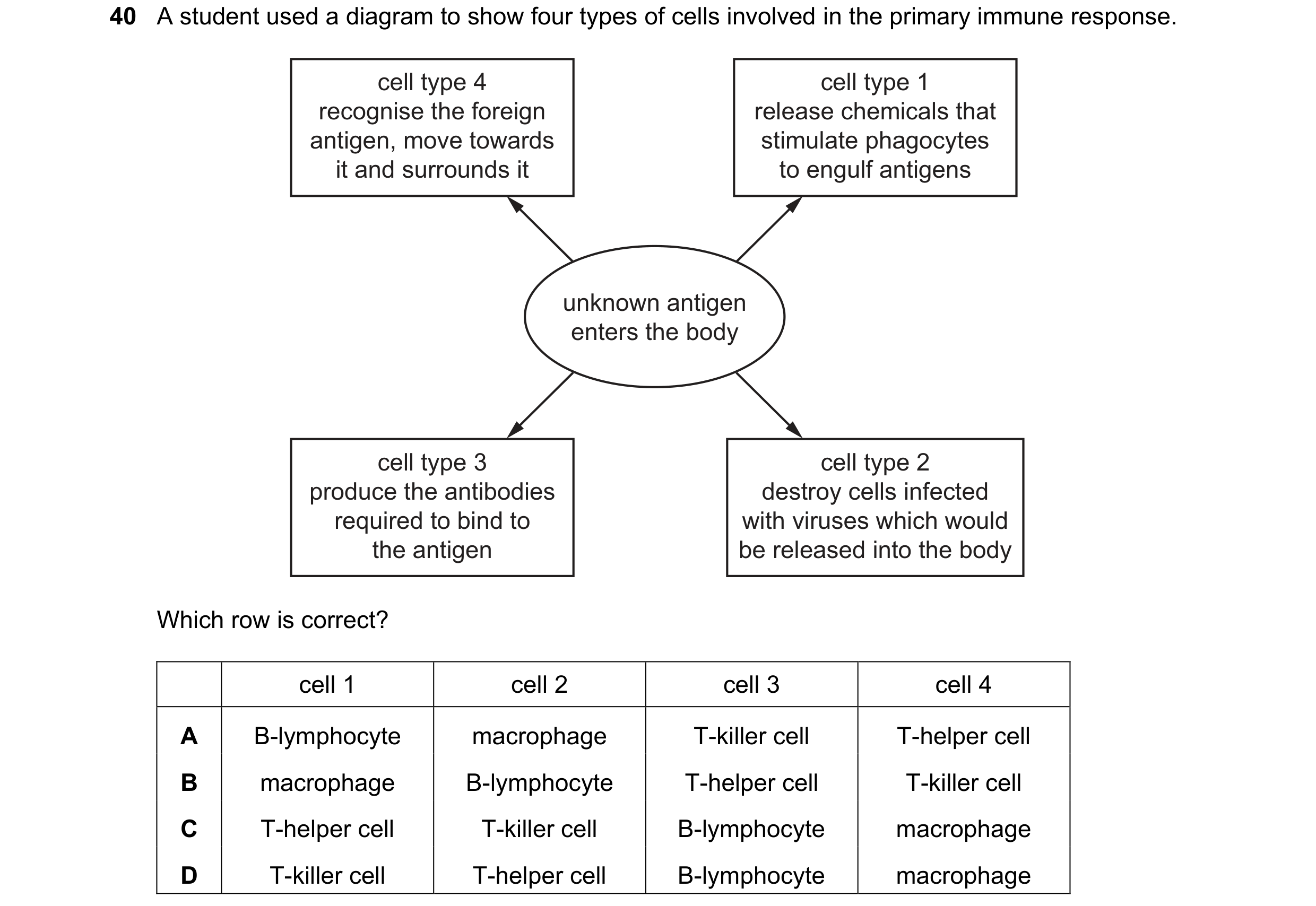 Question 128: A student used a diagram to show four types of cells involved in the primary immune response. cell type 4 cell type 1 recognise the foreign…