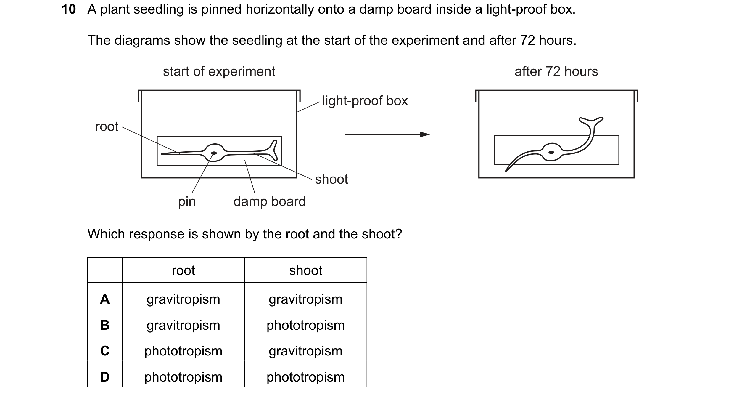 Question 93: A plant seedling is pinned horizontally onto a damp board inside a light-proof box. The diagrams show the seedling at the start of the expe…