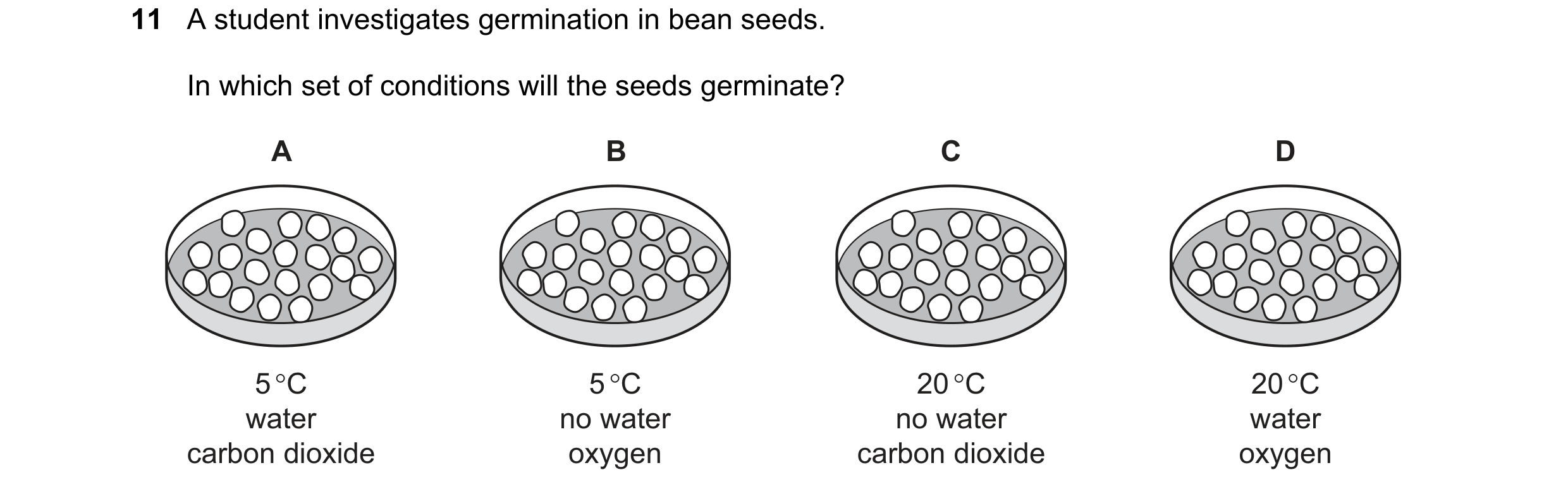 Question 94: A student investigates germination in bean seeds.
In which set of conditions will the seeds germinate?
water no water no water water
carb…