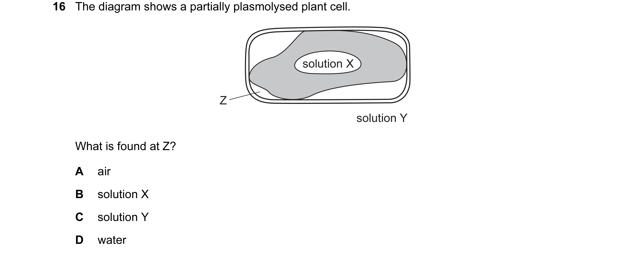 Question 78: The diagram shows a partially plasmolysed plant cell. solution X Z solution Y What is found at Z? A air B solution X C solution Y D water