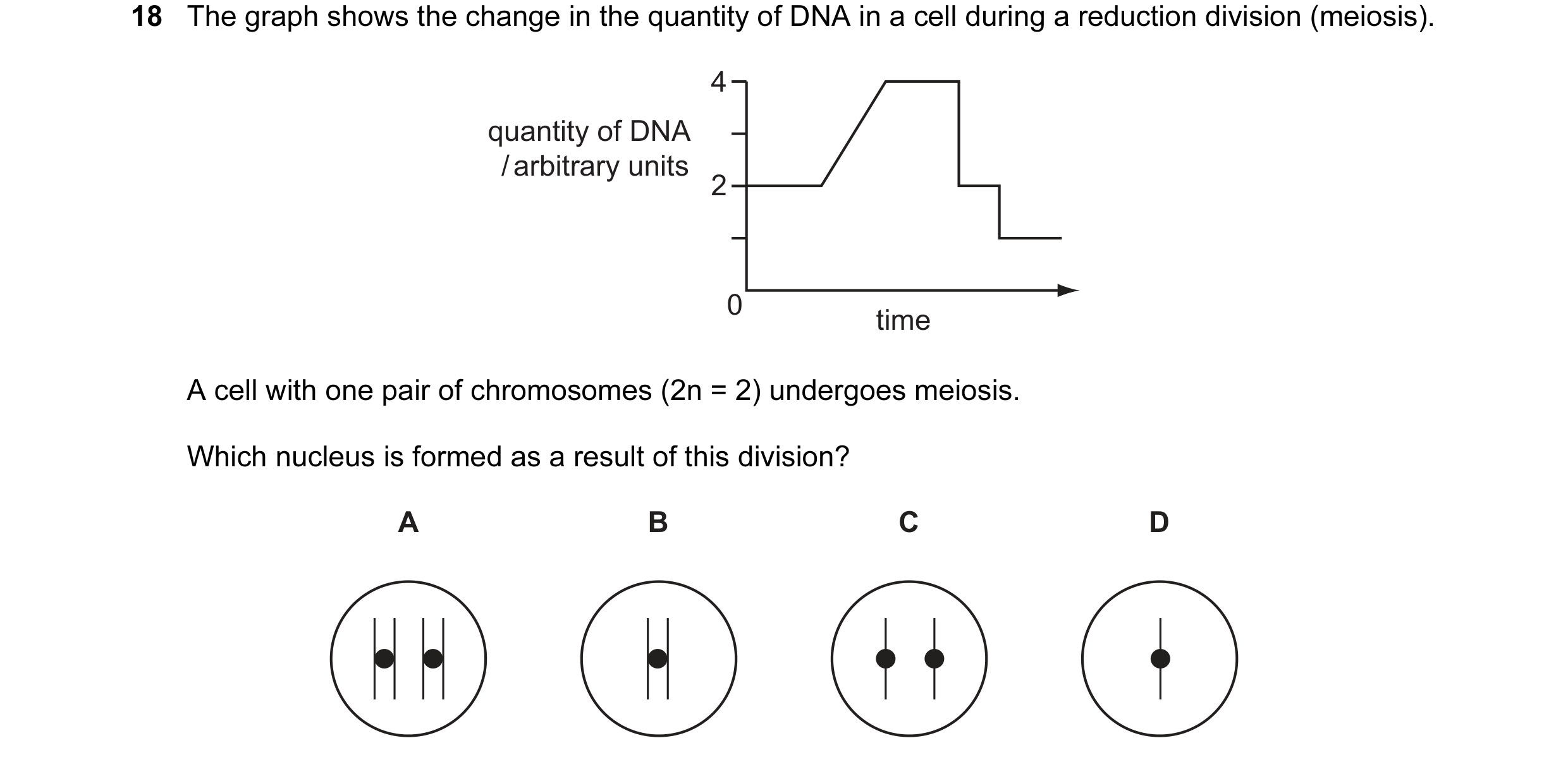 Question 33: The graph shows the change in the quantity of DNA in a cell during a reduction division (meiosis). 4 quantity of DNA / arbitrary units 2 0 …