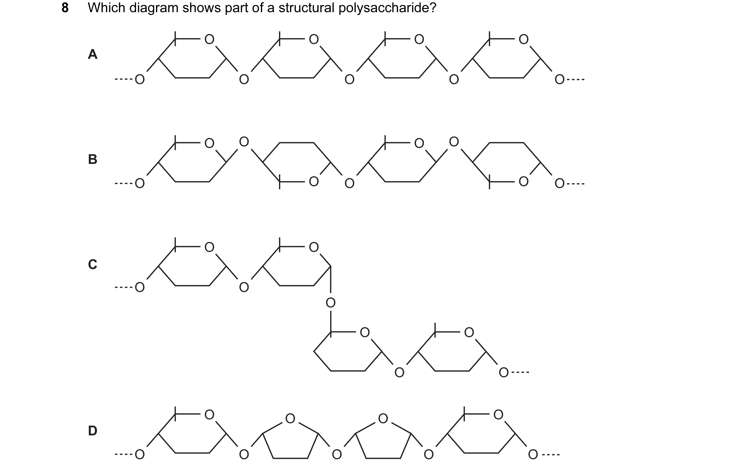 Question 101: Which diagram shows part of a structural polysaccharide? O O O O A O O O O O O O O O B O O O O O O O C O O O O O O O O O O O D O O O O O