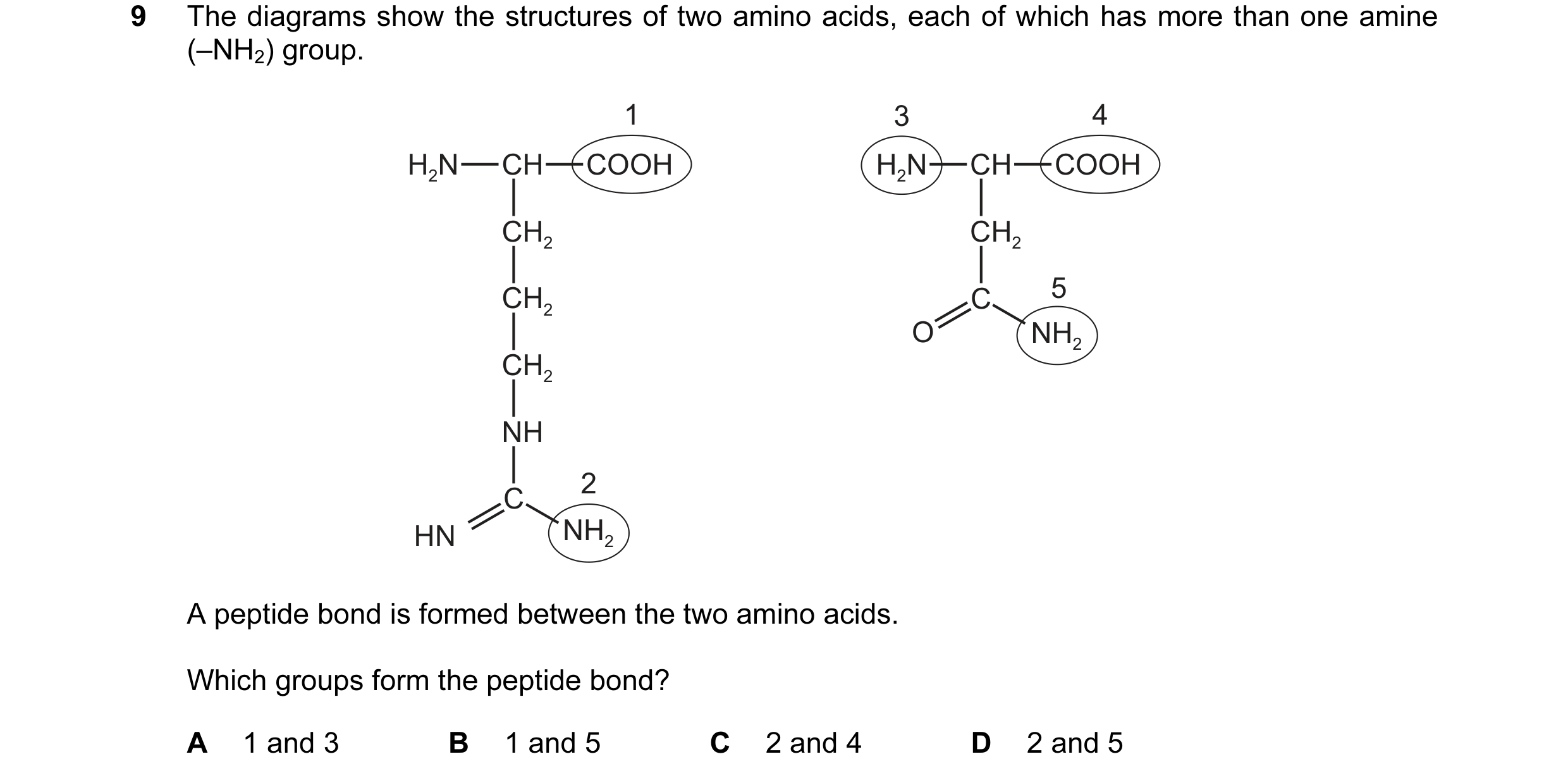 Question 69: The diagrams show the structures of two amino acids, each of which has more than one amine (–NH2) group. 1 3 4 H2N CH COOH H2N CH COOH CH2 …