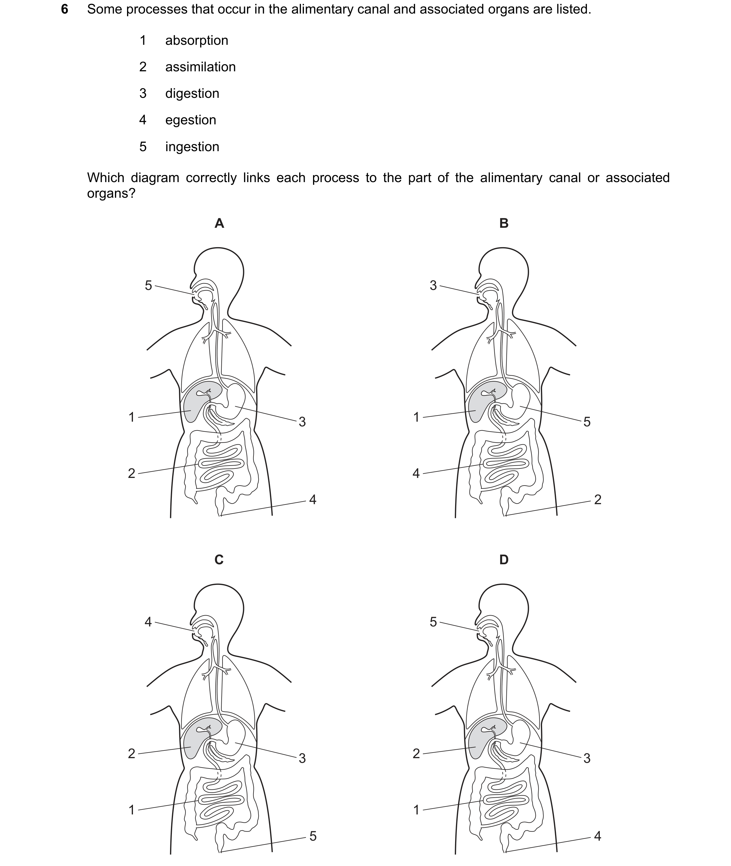 Question 22: Some processes that occur in the alimentary canal and associated organs are listed. 1 absorption 2 assimilation 3 digestion 4 egestion 5 in…