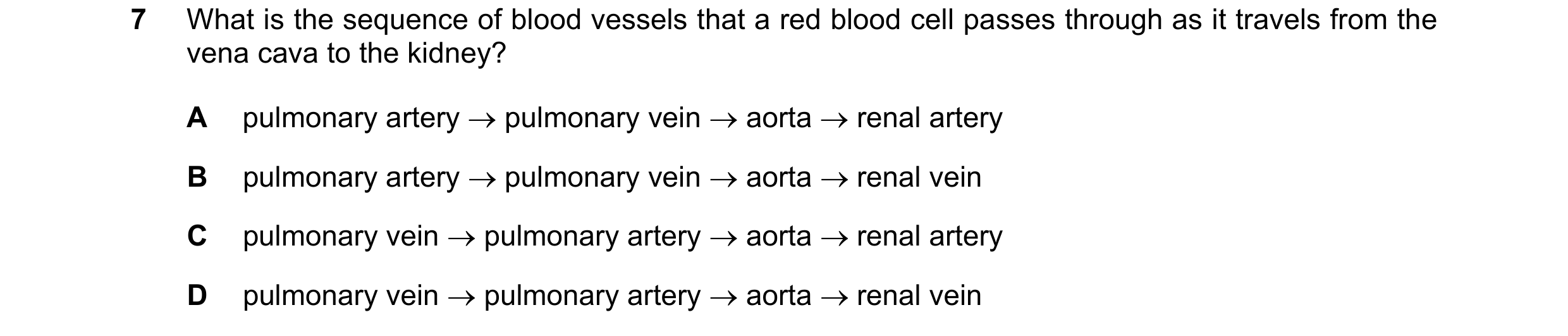 Question 7: What is the sequence of blood vessels that a red blood cell passes through as it travels from the vena cava to the kidney? A pulmonary arte…
