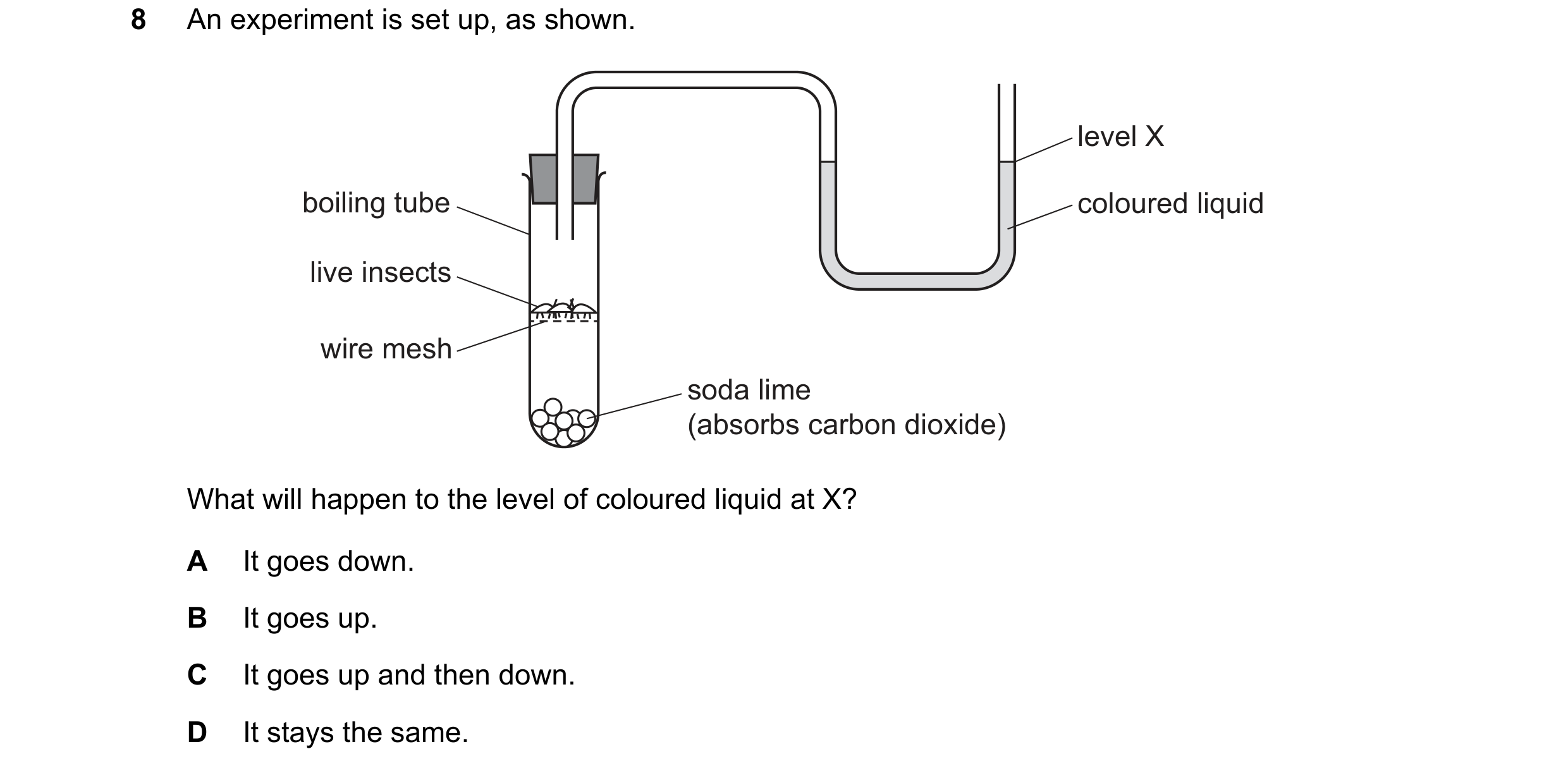 Question 38: An experiment is set up, as shown. level X boiling tube coloured liquid live insects wire mesh soda lime (absorbs carbon dioxide) What will…