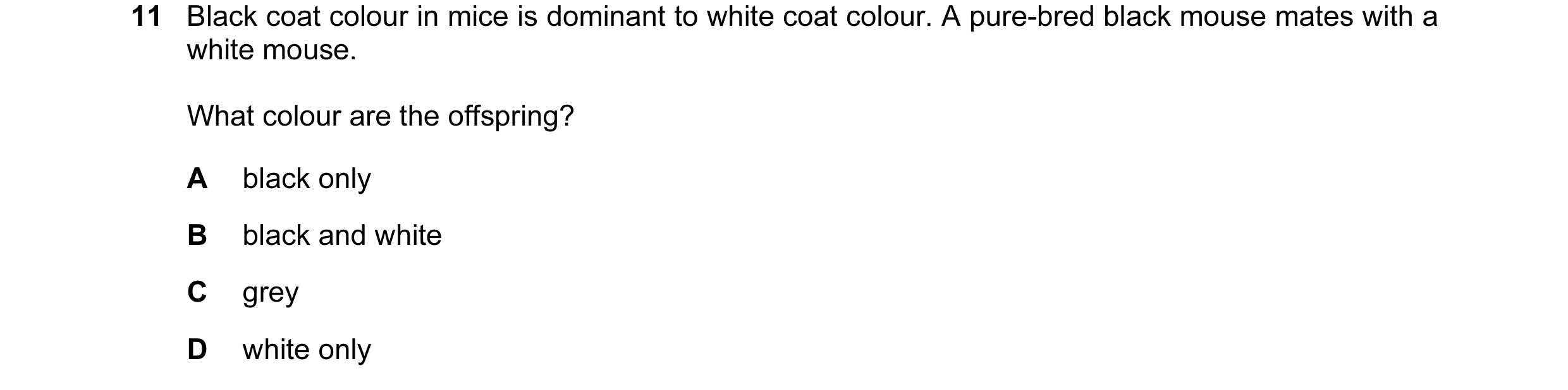 Question 5: Black coat colour in mice is dominant to white coat colour. A pure-bred black mouse mates with a white mouse. What colour are the offspring…