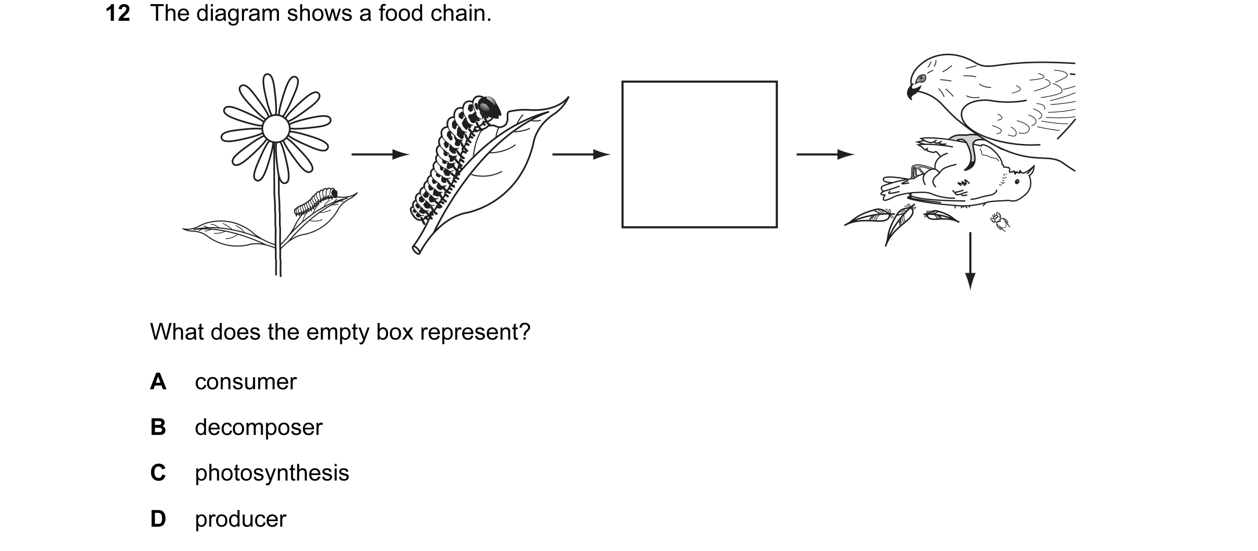 Question 2: The diagram shows a food chain. What does the empty box represent? A consumer B decomposer C photosynthesis D producer