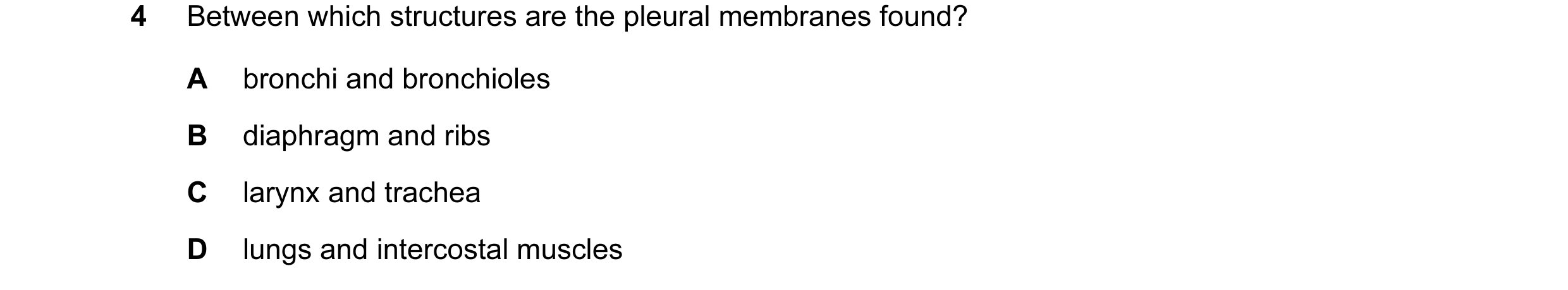 Question 6: Between which structures are the pleural membranes found? A bronchi and bronchioles B diaphragm and ribs C larynx and trachea D lungs and i…