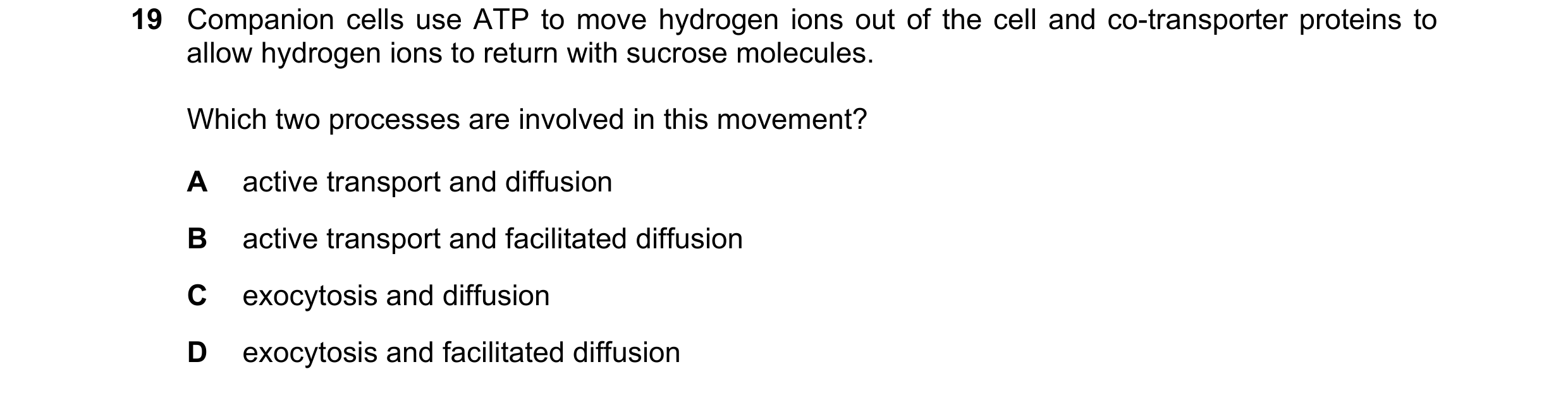 Question 23: Companion cells use ATP to move hydrogen ions out of the cell and co-transporter proteins to allow hydrogen ions to return with sucrose mol…