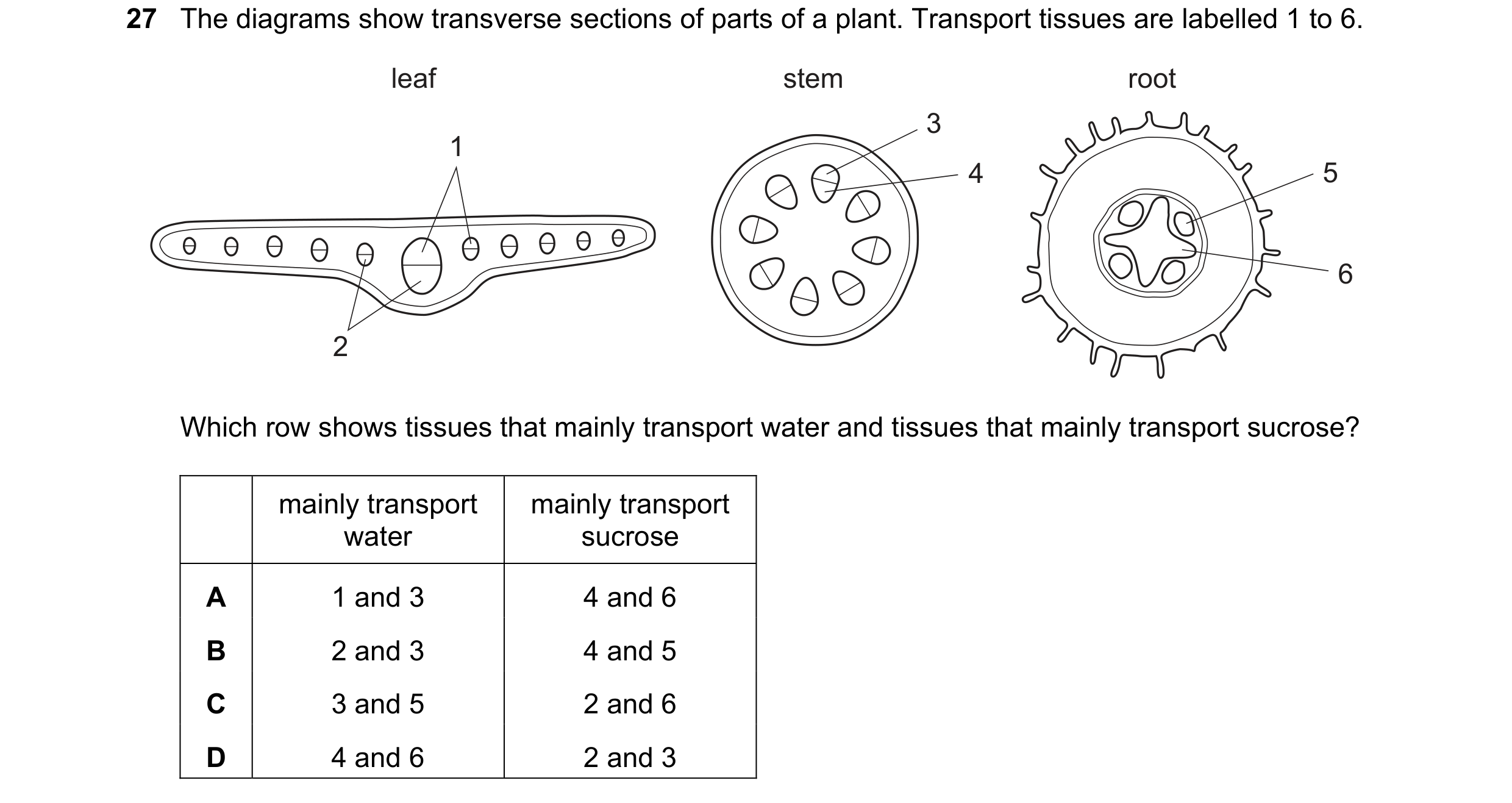 Question 51: The diagrams show transverse sections of parts of a plant. Transport tissues are labelled 1 to 6. leaf stem root 3 1 4 5 6 2 Which row show…