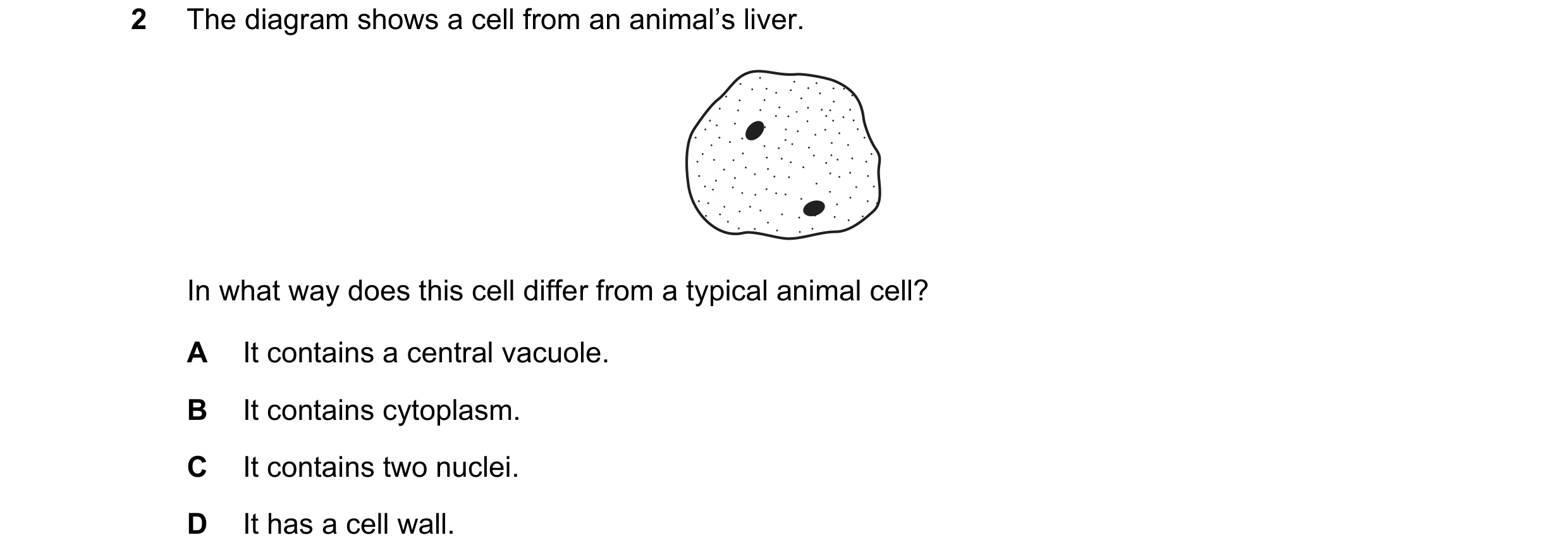 Question 63: The diagram shows a cell from an animal’s liver. In what way does this cell differ from a typical animal cell? A It contains a central vacu…
