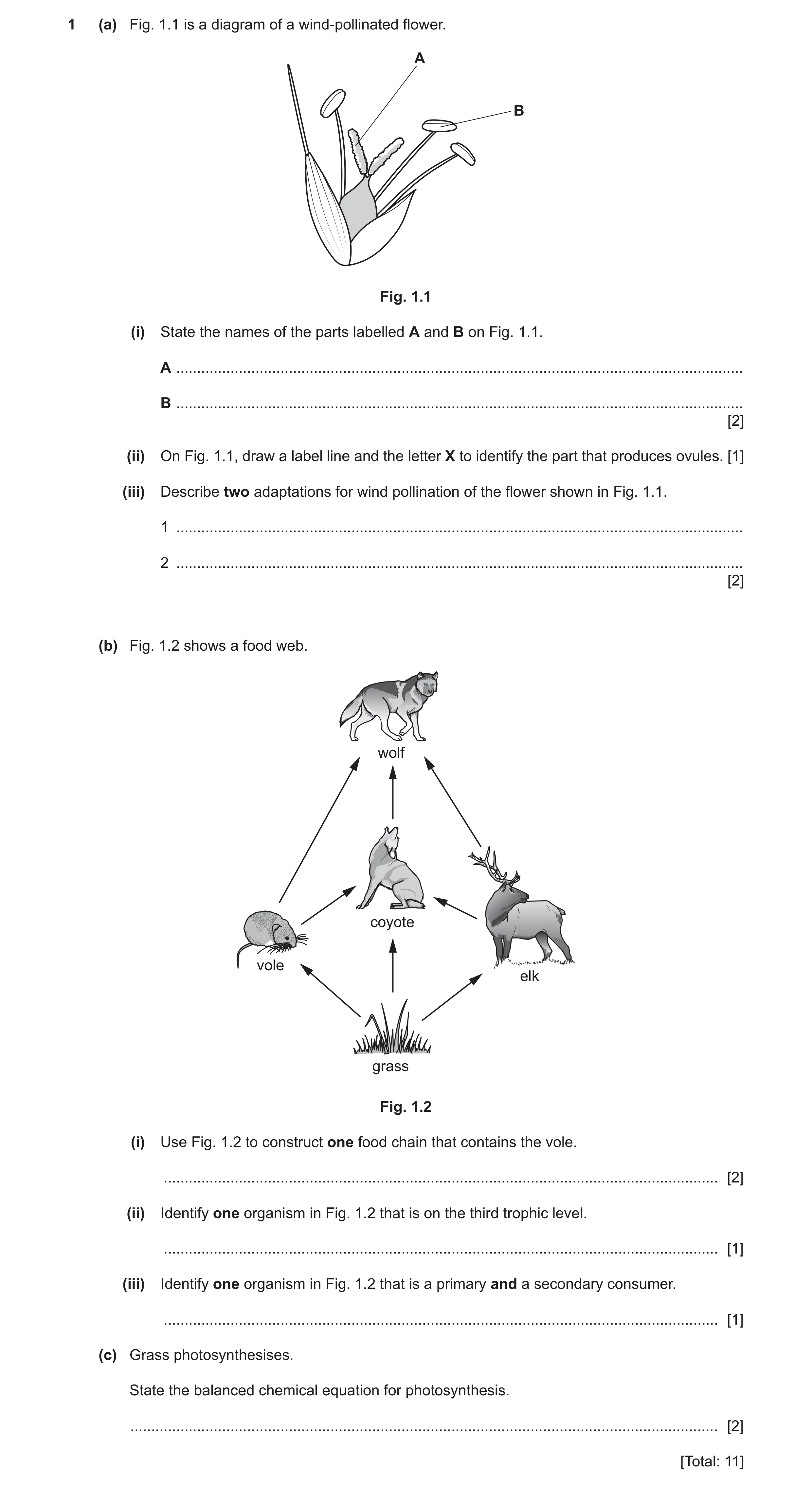 Question 25: (a) Fig. 1.1 is a diagram of a wind-pollinated flower. A B Fig. 1.1 (i) State the names of the parts labelled A and B on Fig. 1.1. A ......…