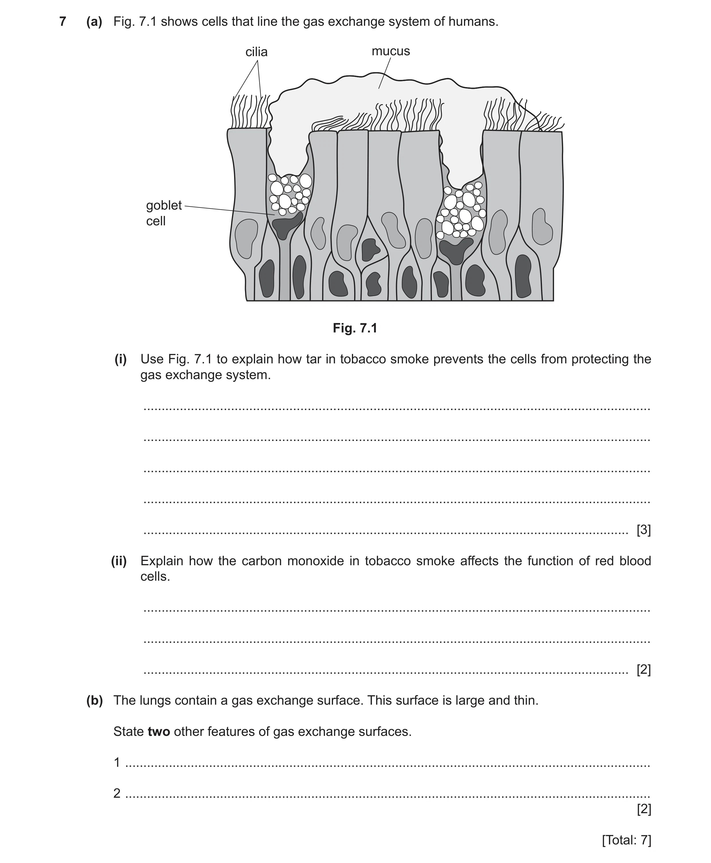 Question 12: (a) Fig. 7.1 shows cells that line the gas exchange system of humans. cilia mucus goblet cell Fig. 7.1 (i) Use Fig. 7.1 to explain how tar …