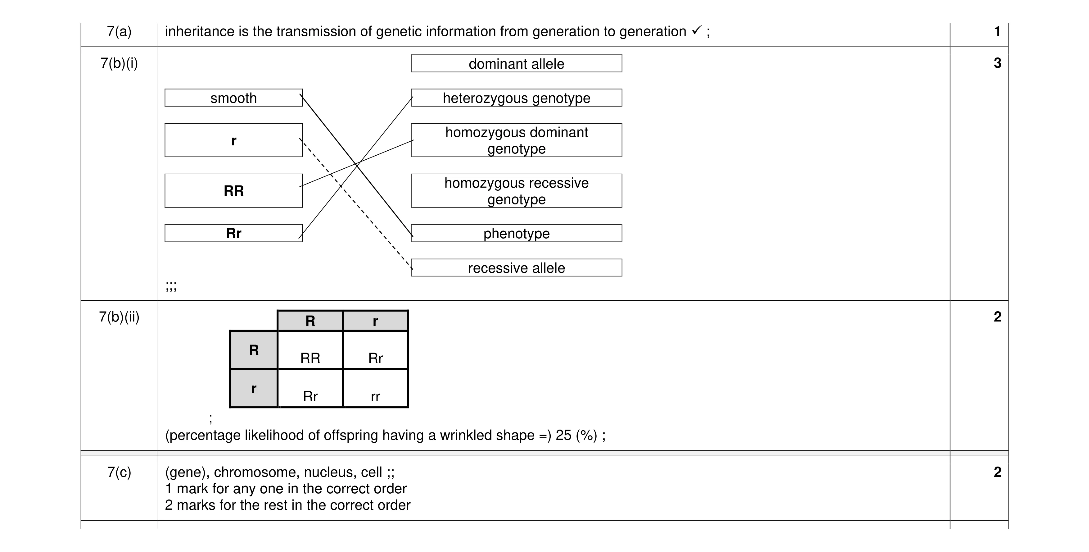 Mark scheme for question 13
