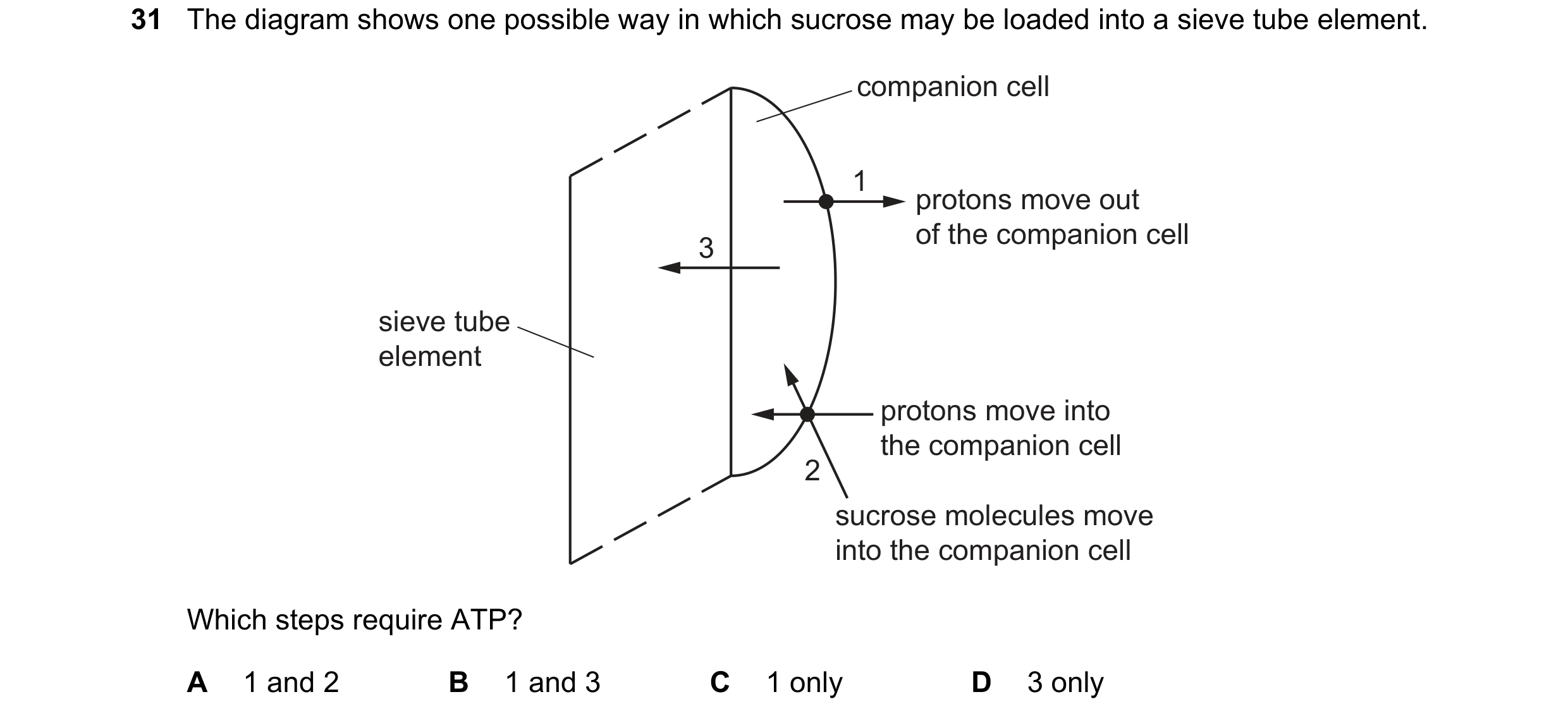 Question 274: The diagram shows one possible way in which sucrose may be loaded into a sieve tube element. companion cell 1 protons move out of the compa…