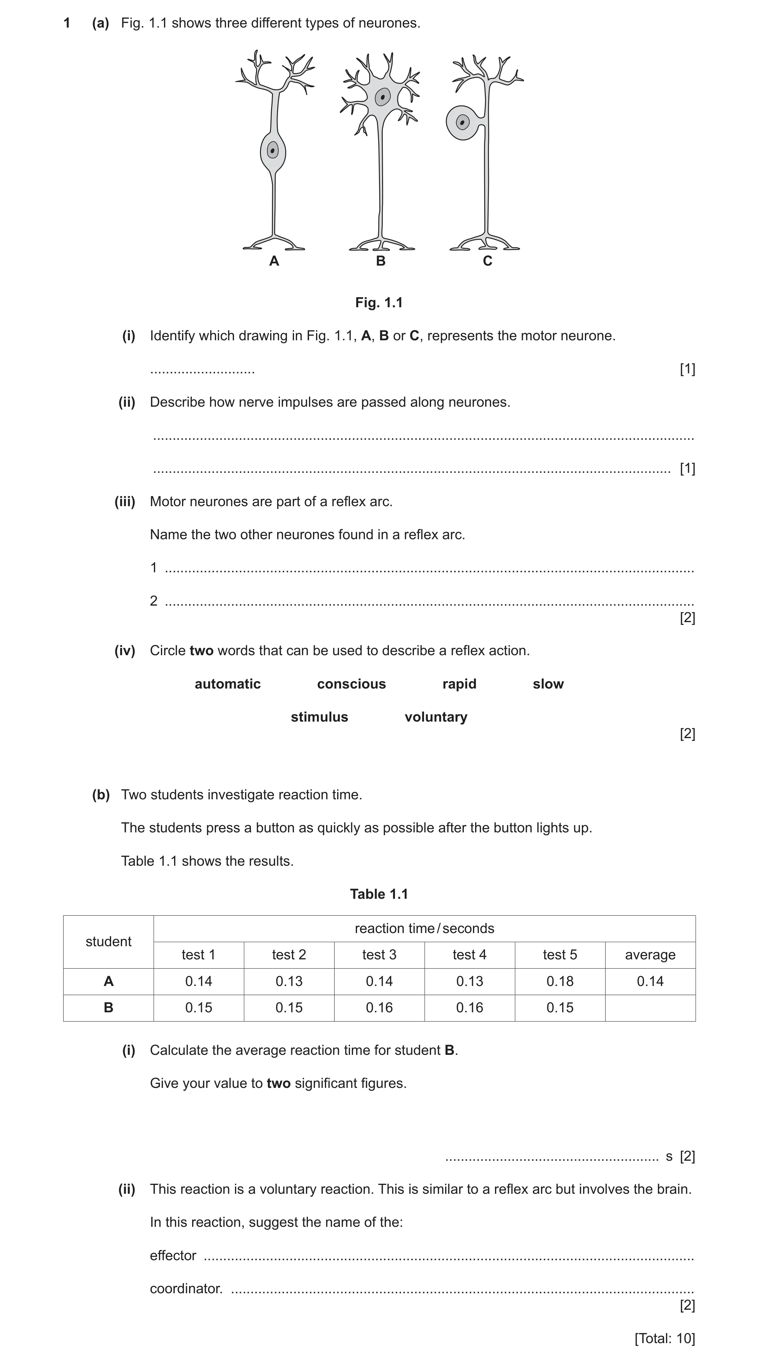 Question 12: (a) Fig. 1.1 shows three different types of neurones. A B C Fig. 1.1 (i) Identify which drawing in Fig. 1.1, A, B or C, represents the moto…