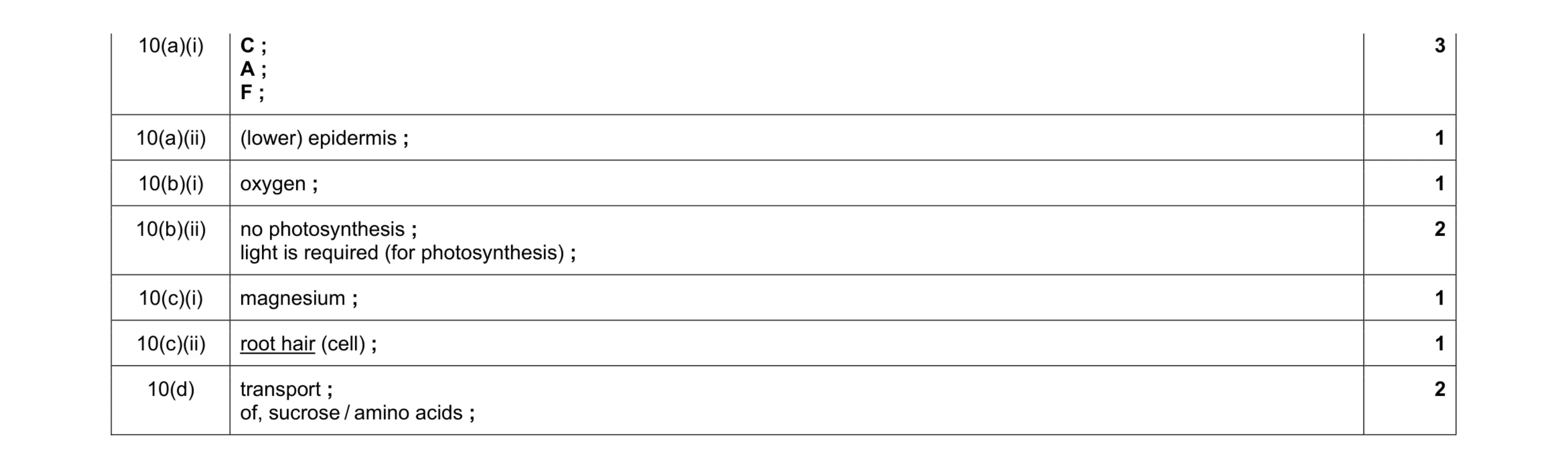 Mark scheme for question 19