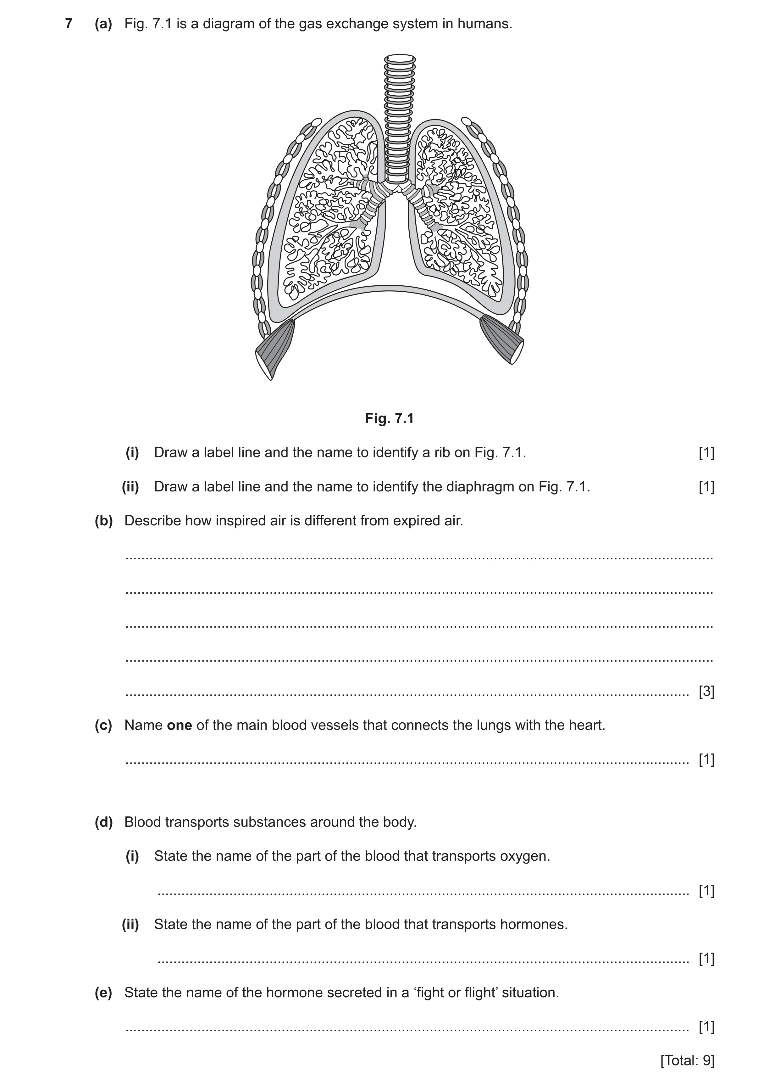 Question 9: (a) Fig. 7.1 is a diagram of the gas exchange system in humans. Fig. 7.1 (i) Draw a label line and the name to identify a rib on Fig. 7.1. …