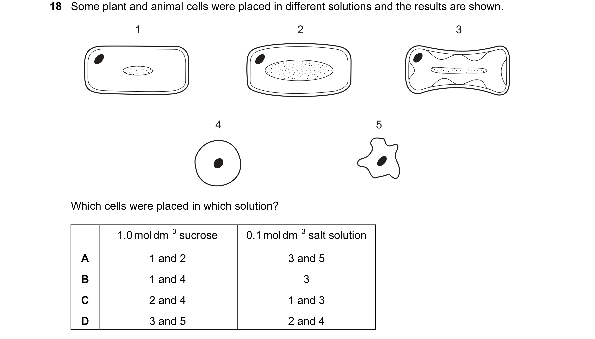 Question 24: Some plant and animal cells were placed in different solutions and the results are shown. 1 2 3 4 5 Which cells were placed in which soluti…