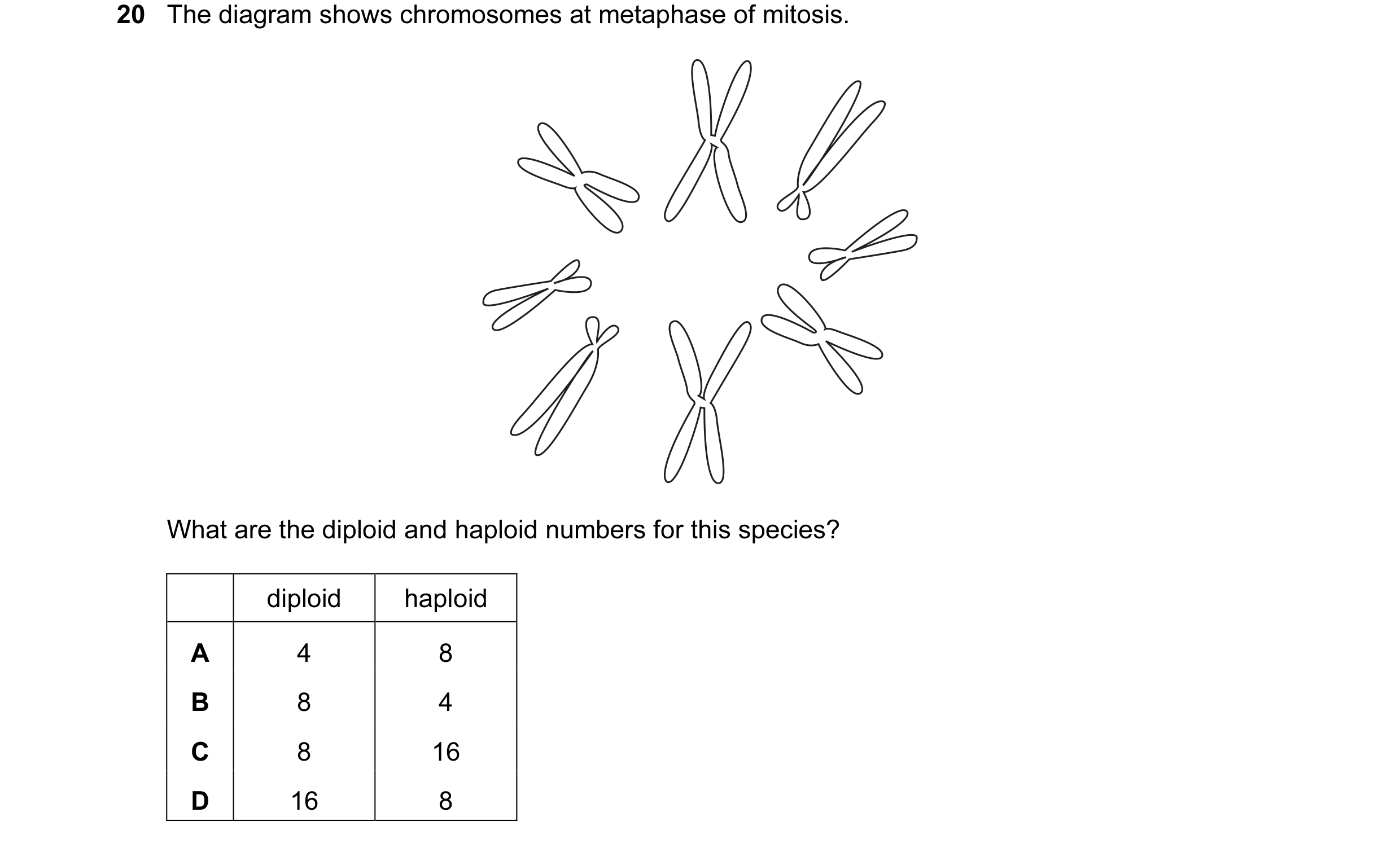 Question 10: The diagram shows chromosomes at metaphase of mitosis. What are the diploid and haploid numbers for this species? diploid haploid A 4 8 B 8…
