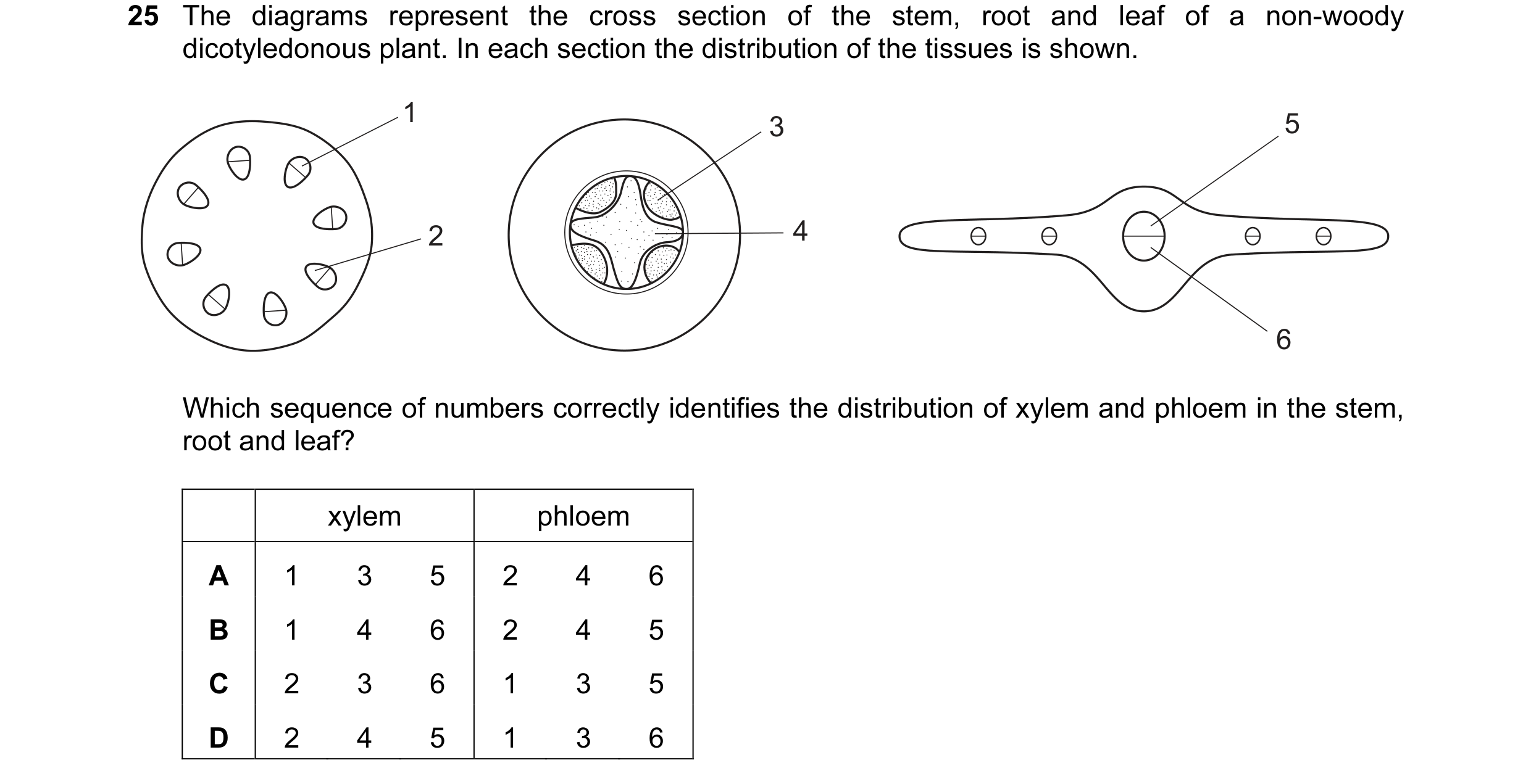 Question 11: The diagrams represent the cross section of the stem, root and leaf of a non-woody dicotyledonous plant. In each section the distribution o…