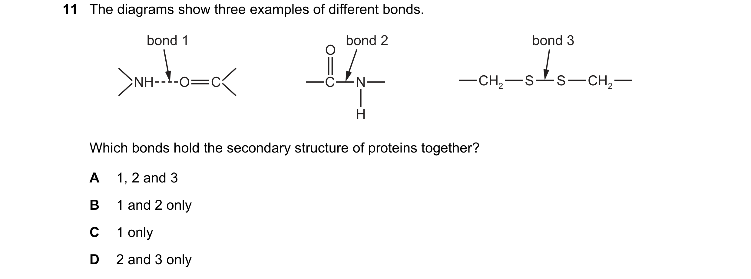Question 162: The diagrams show three examples of different bonds. bond 1 bond 2 bond 3 O NH O C C N CH2 S S CH2 H Which bonds hold the secondary structu…