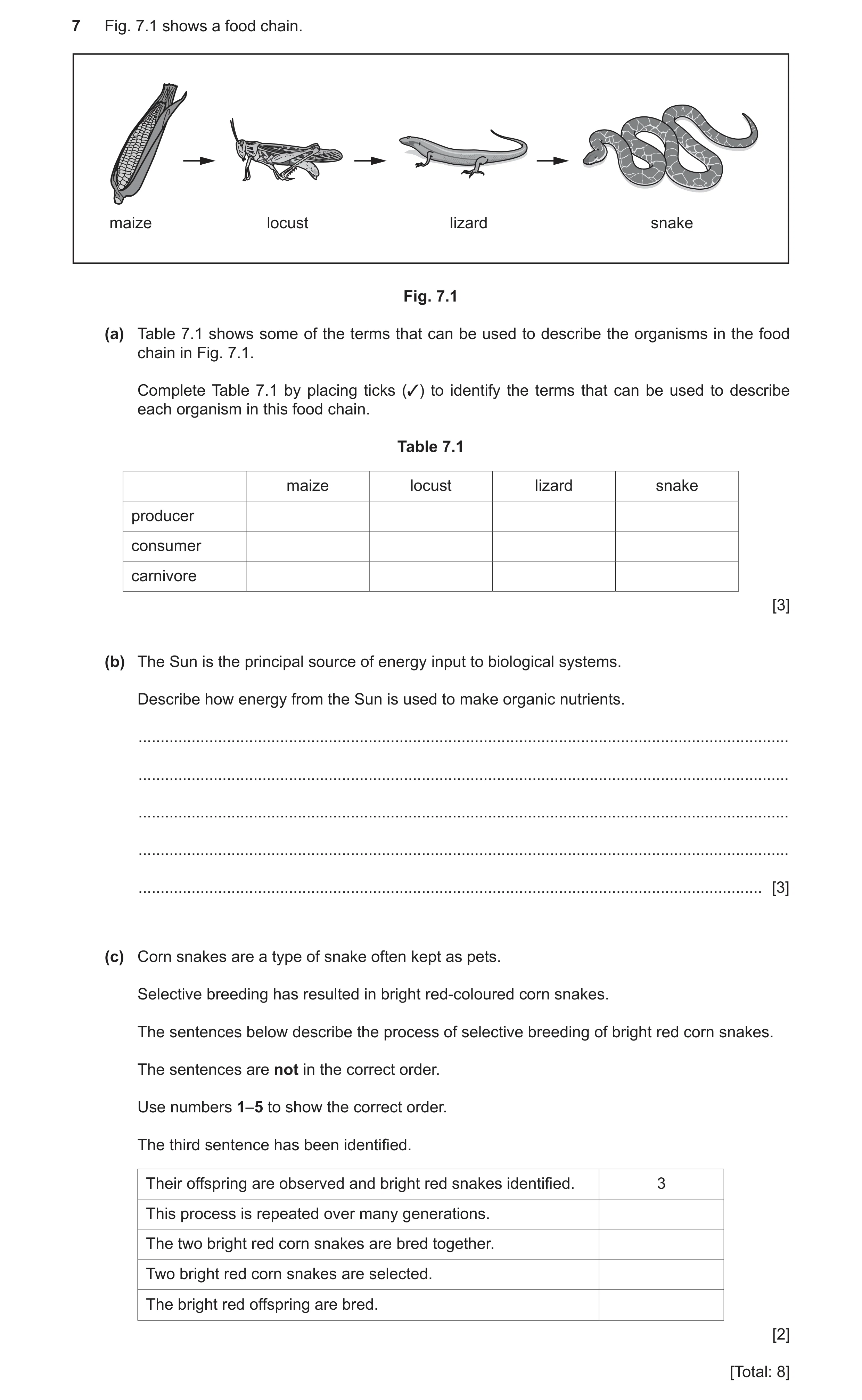 Question 6: Fig. 7.1 shows a food chain. maize locust lizard snake Fig. 7.1 (a) Table 7.1 shows some of the terms that can be used to describe the orga…