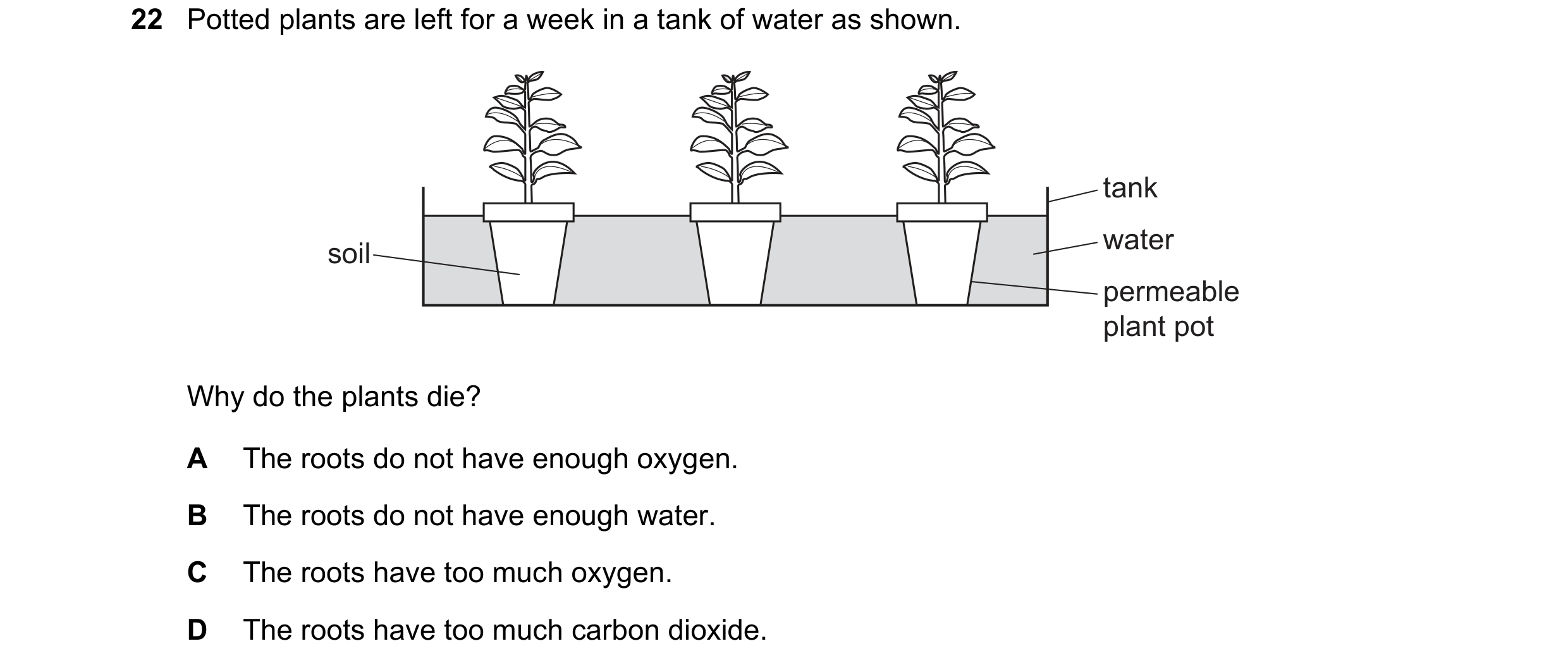 Question 5: Potted plants are left for a week in a tank of water as shown. tank water soil permeable plant pot Why do the plants die? A The roots do no…