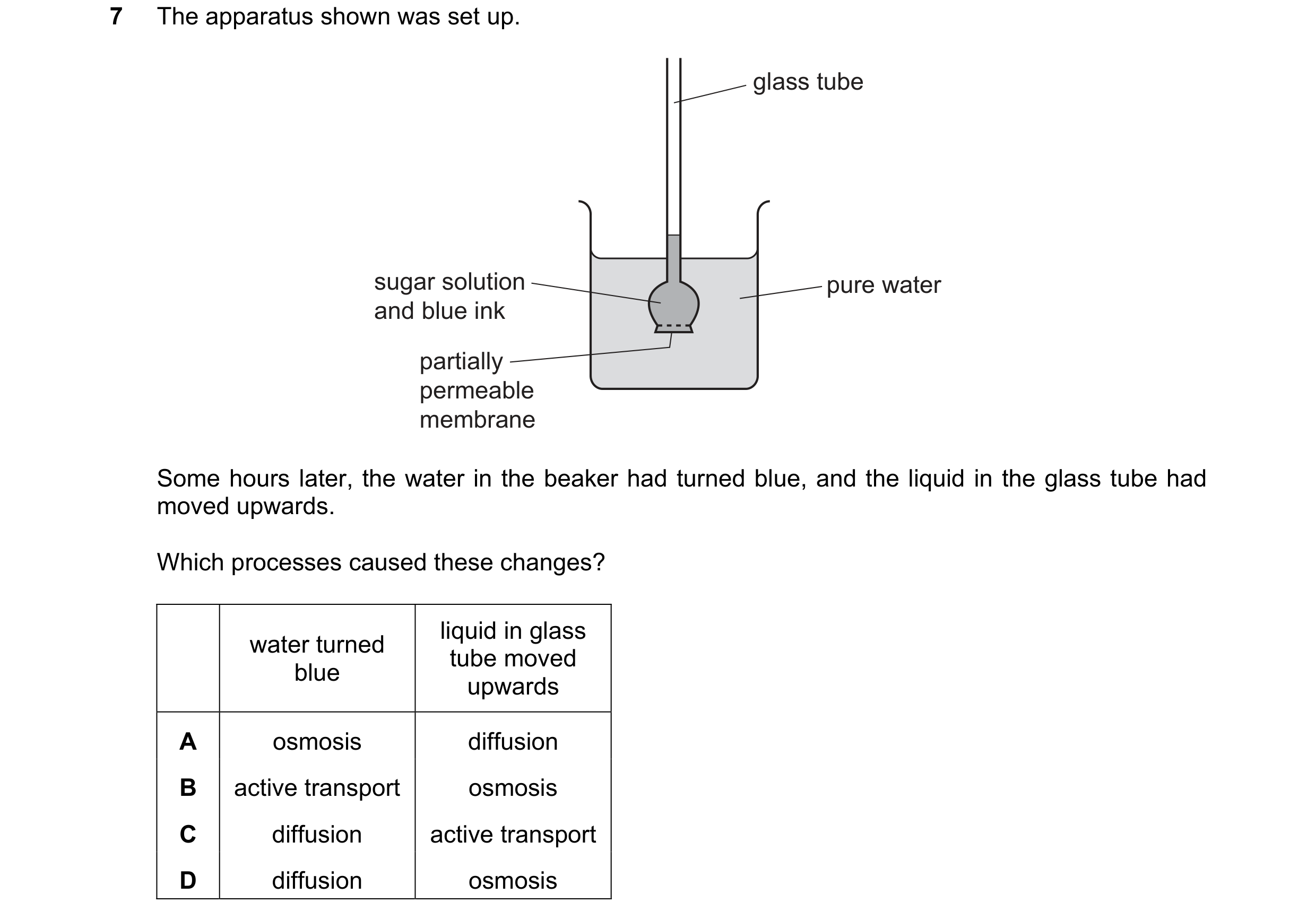 Question 4: The apparatus shown was set up. glass tube sugar solution pure water and blue ink partially permeable membrane Some hours later, the water …