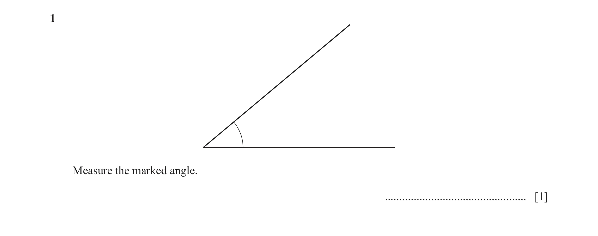 Question 53: Measure the marked angle. ................................................. [1]