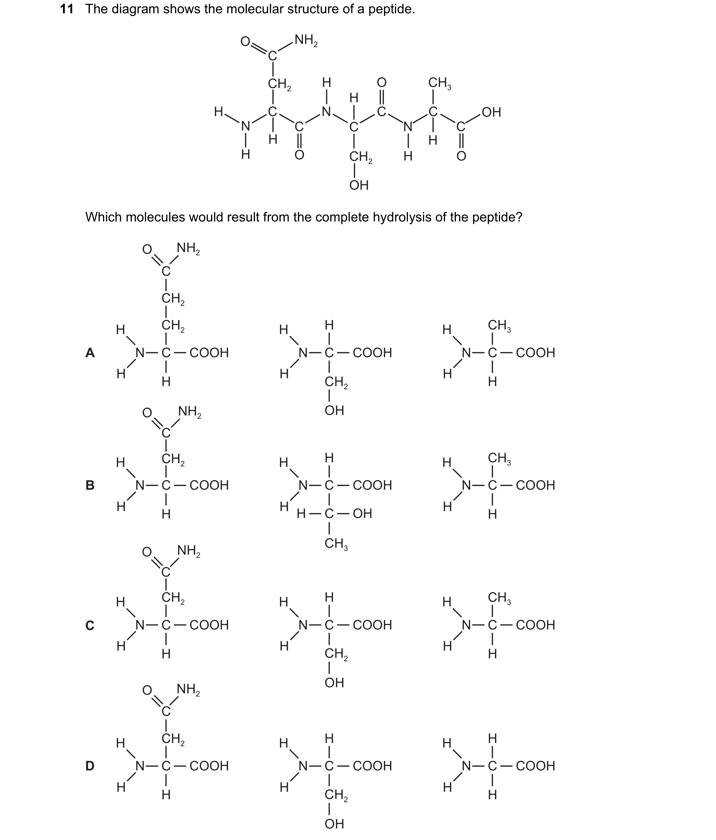 Question 116: The diagram shows the molecular structure of a peptide. O NH2 C CH2 H O CH3 H H C N C C OH N C C N C H H H O CH2 H O OH Which molecules wou…
