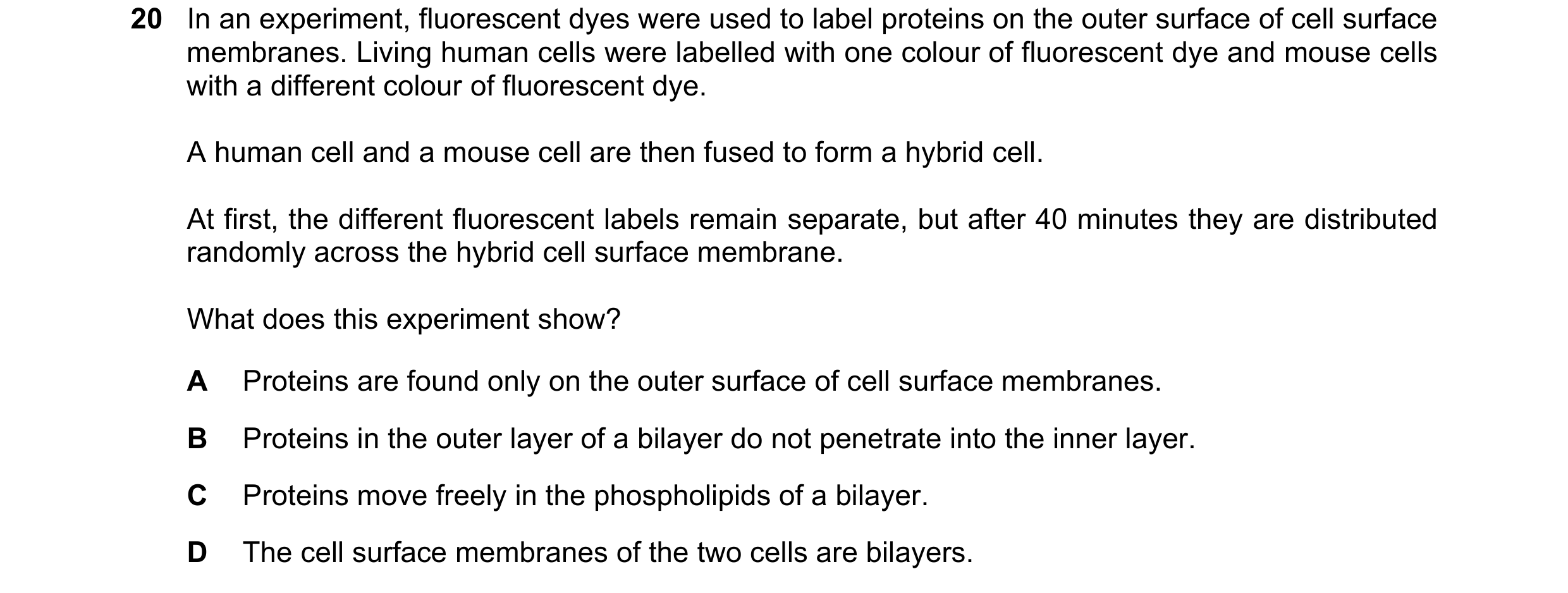 Question 70: In an experiment, fluorescent dyes were used to label proteins on the outer surface of cell surface membranes. Living human cells were labe…