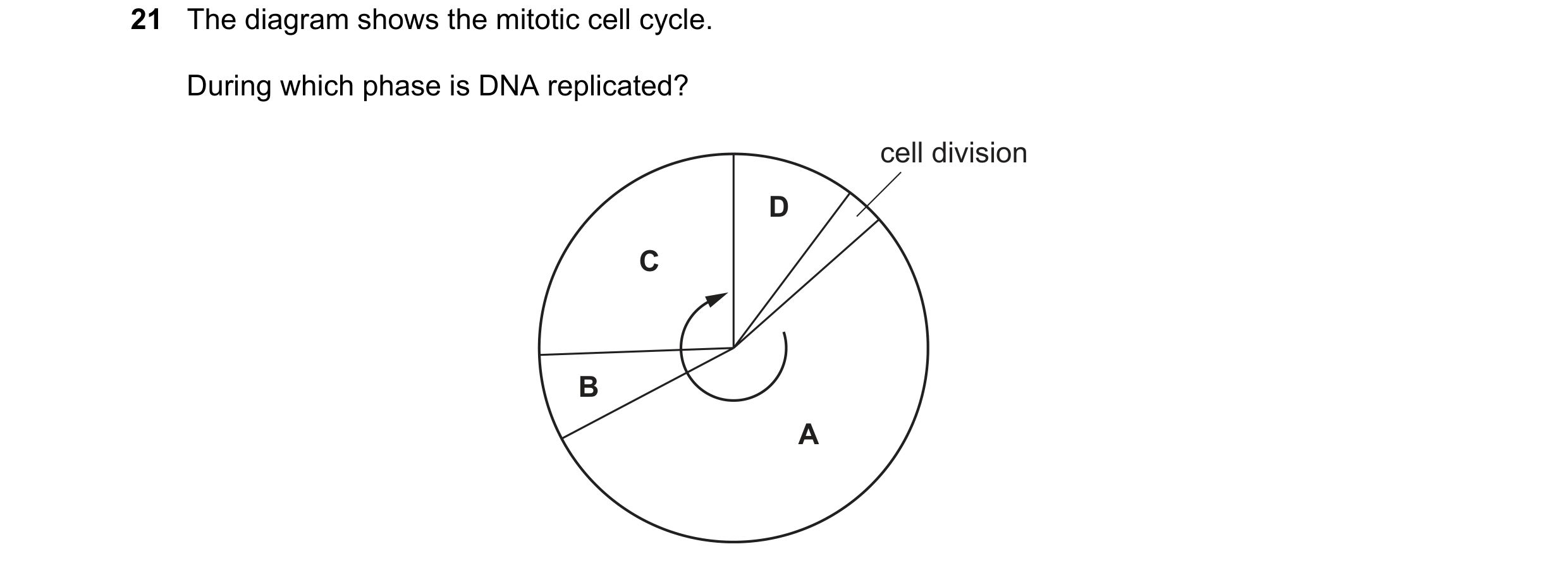 Question 85: The diagram shows the mitotic cell cycle. During which phase is DNA replicated? cell division D C B A