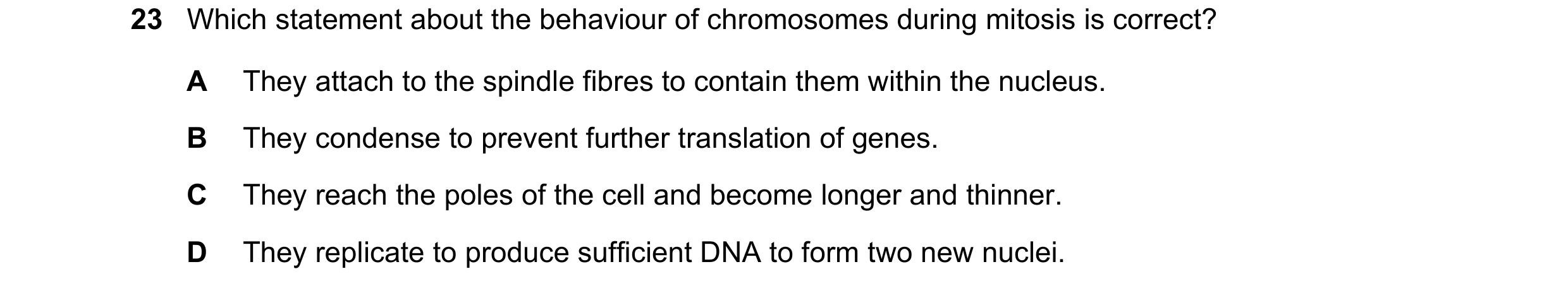 Question 54: Which statement about the behaviour of chromosomes during mitosis is correct? A They attach to the spindle fibres to contain them within th…