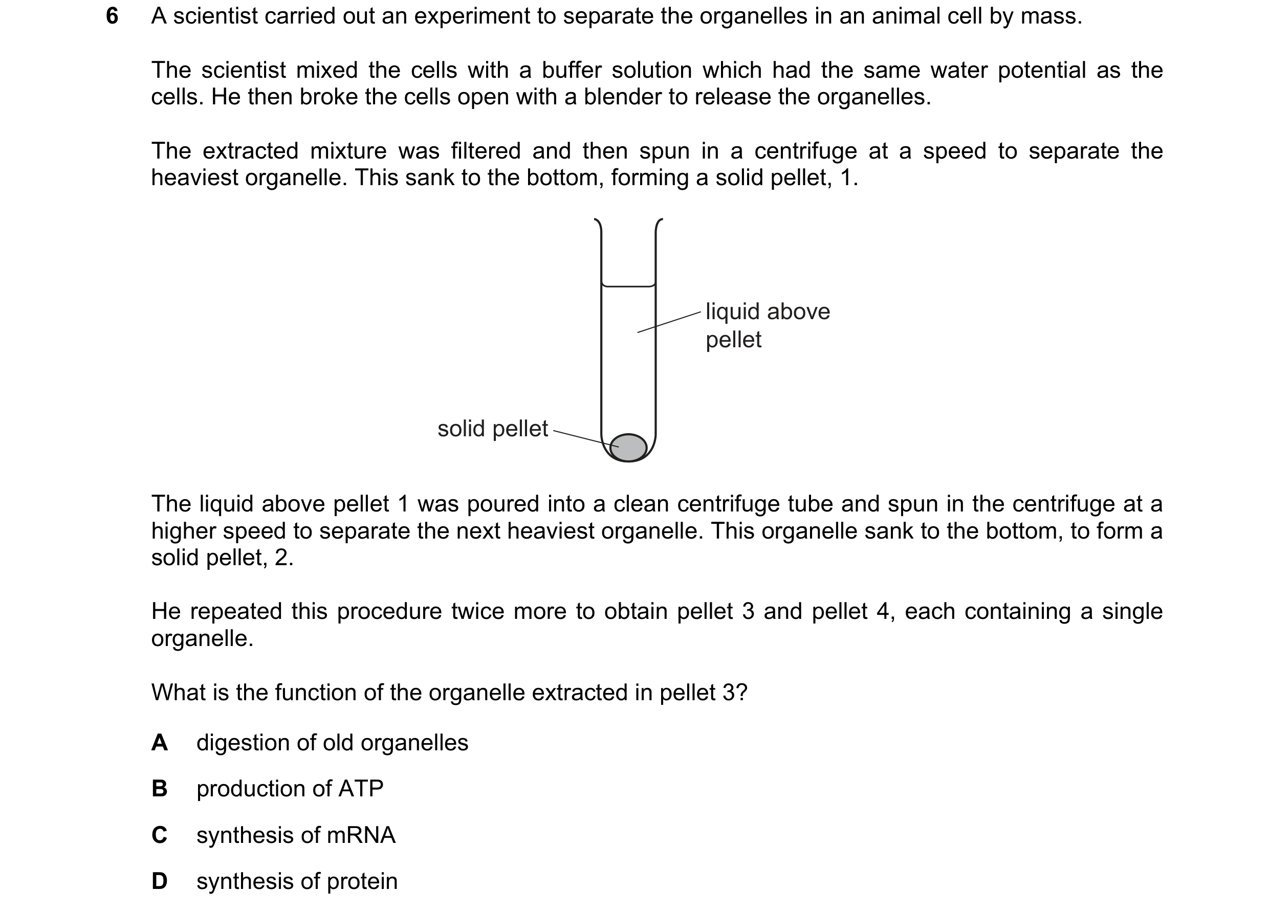 Question 168: A scientist carried out an experiment to separate the organelles in an animal cell by mass. The scientist mixed the cells with a buffer sol…
