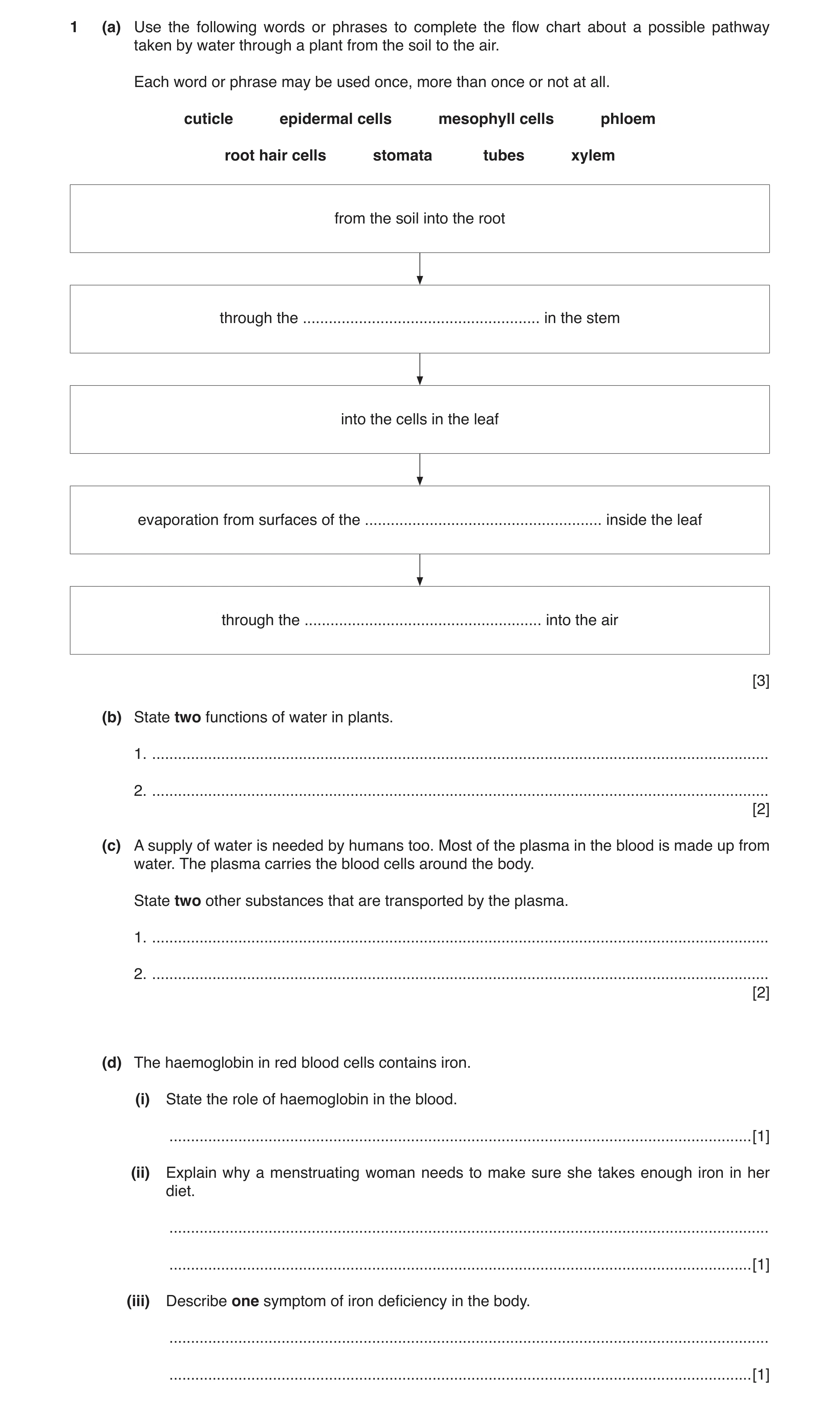 Question 4: (a) Use the following words or phrases to complete the flow chart about a possible pathway taken by water through a plant from the soil to …