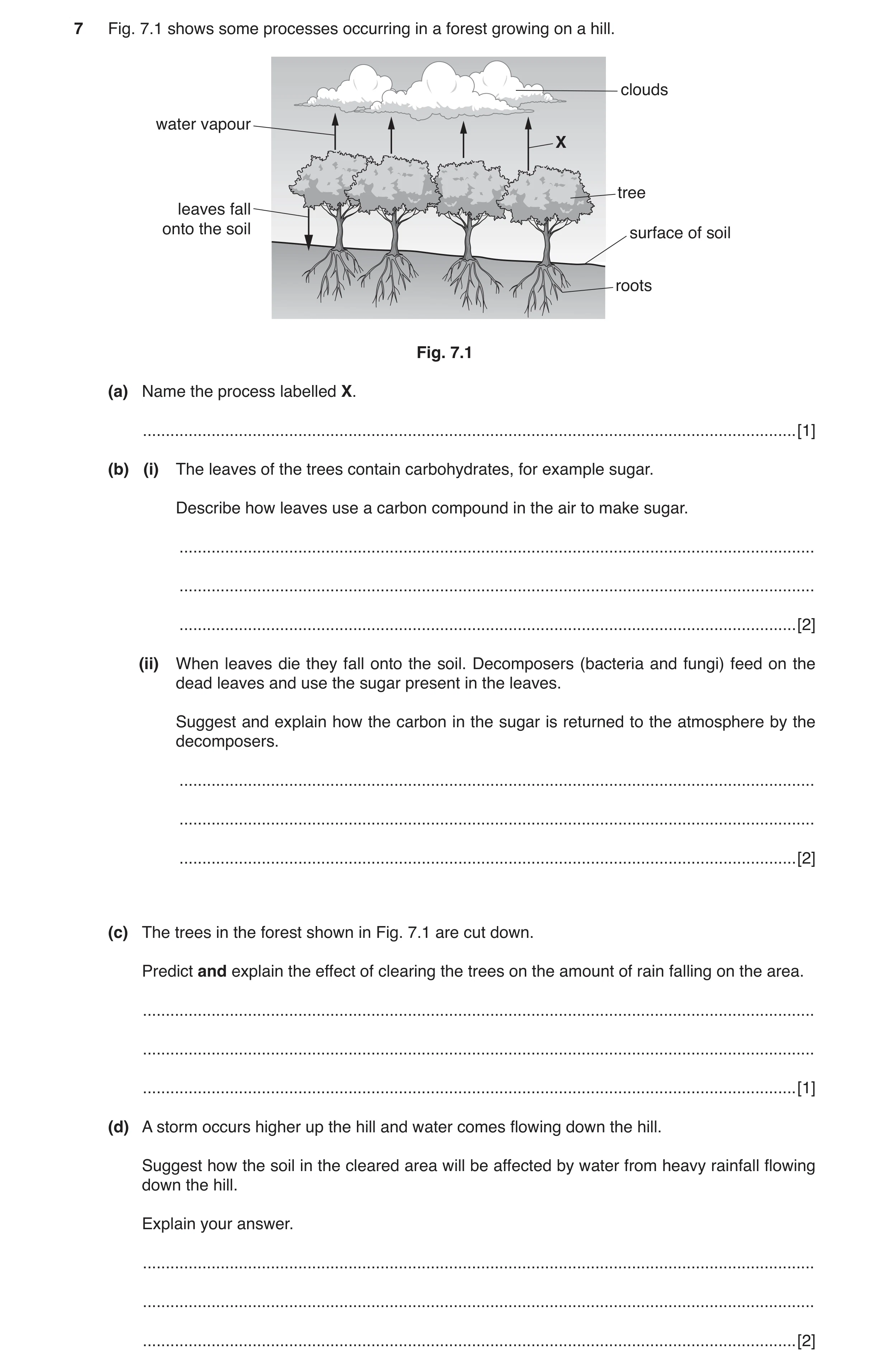 Question 5: Fig. 7.1 shows some processes occurring in a forest growing on a hill. clouds water vapour X tree leaves fall onto the soil surface of soil…