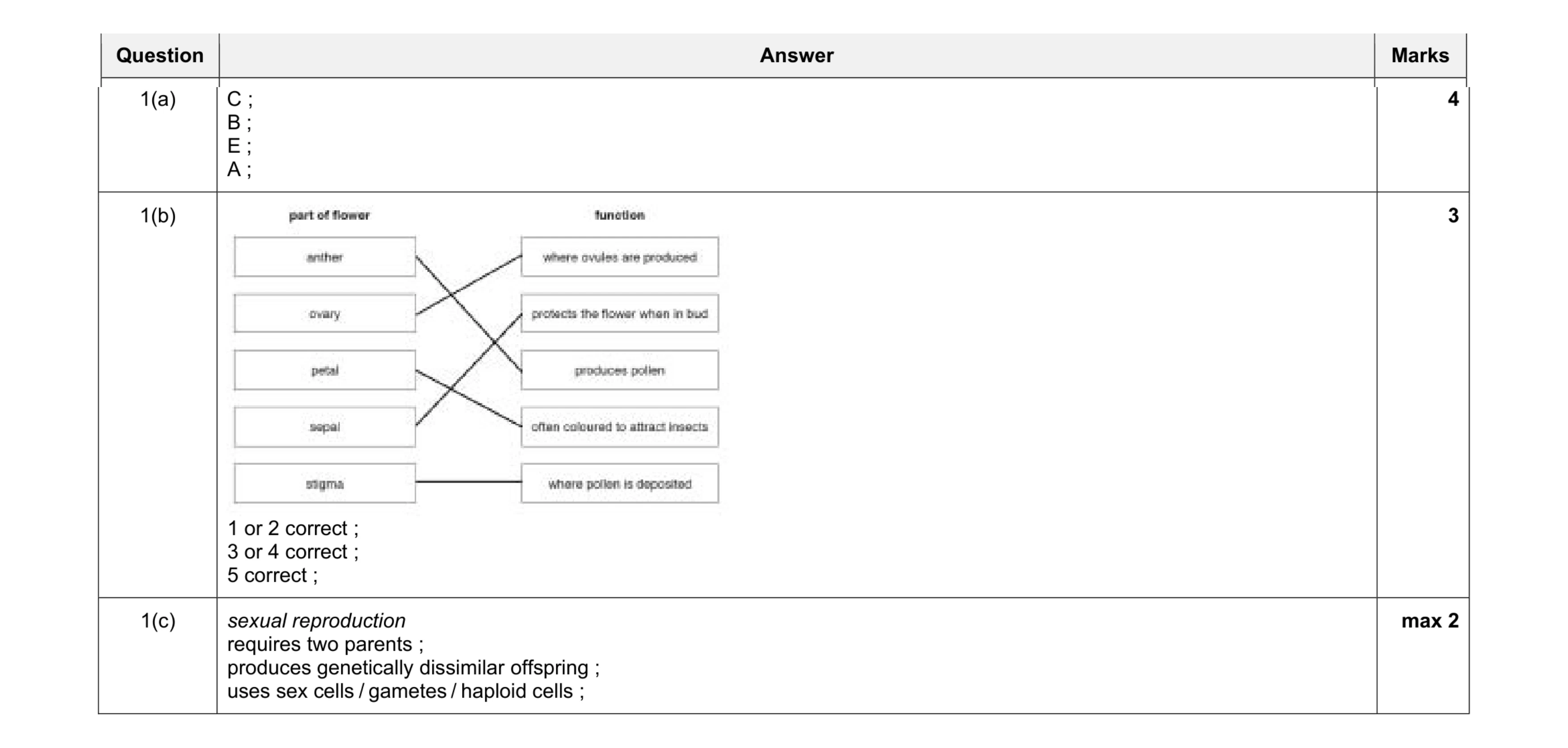 Mark scheme for question 2