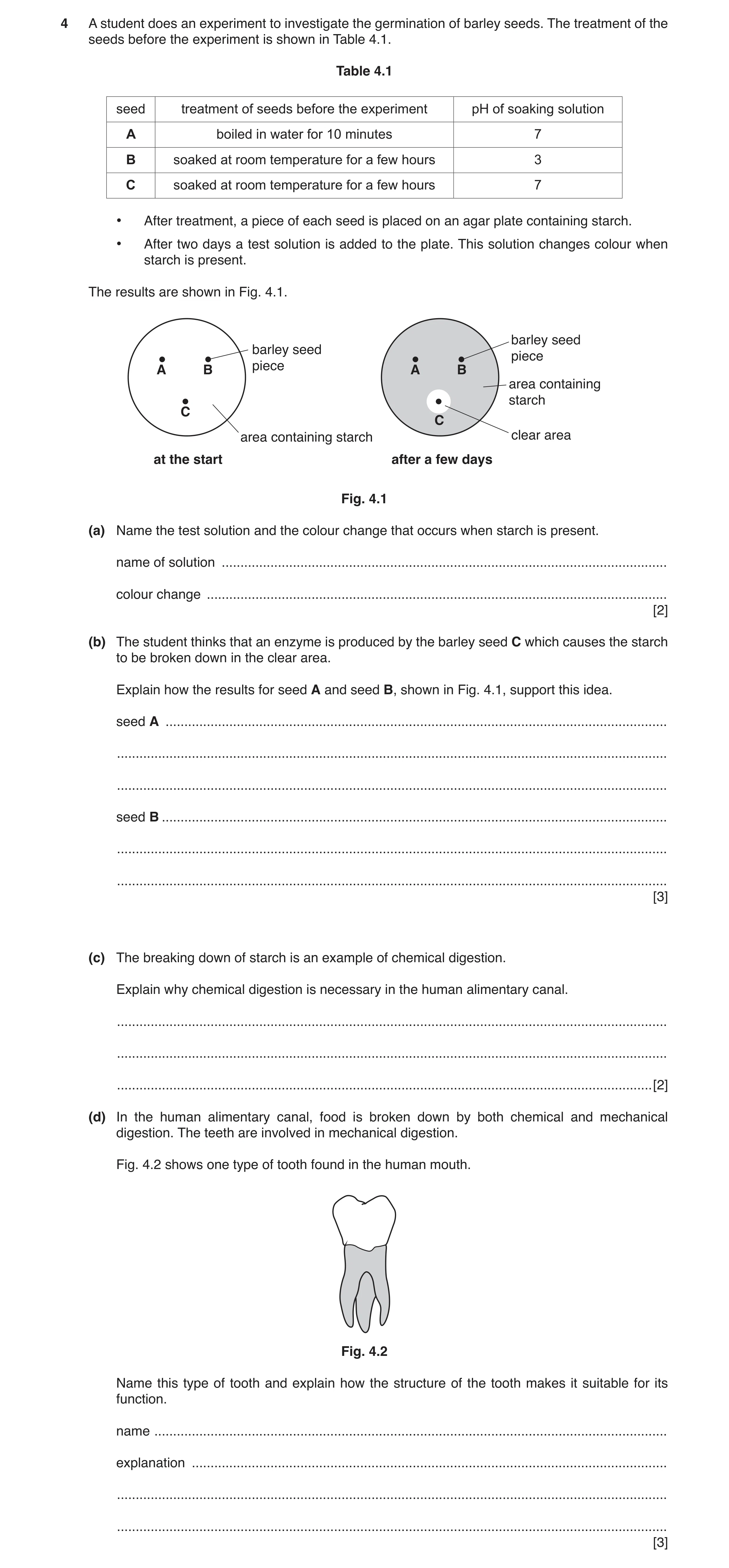 Question 4: A student does an experiment to investigate the germination of barley seeds. The treatment of the seeds before the experiment is shown in T…