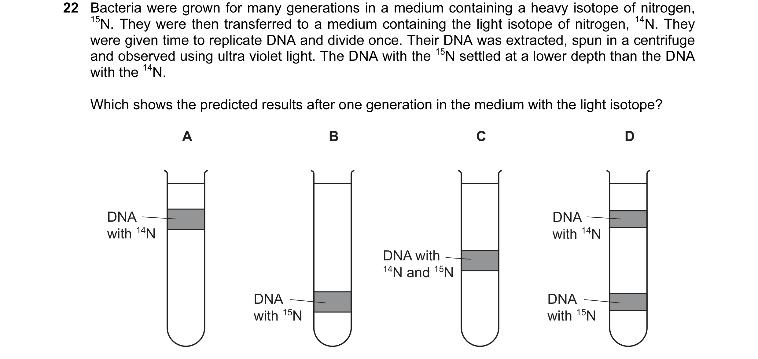 Question 7: Bacteria were grown for many generations in a medium containing a heavy isotope of nitrogen, 15N. They were then transferred to a medium co…